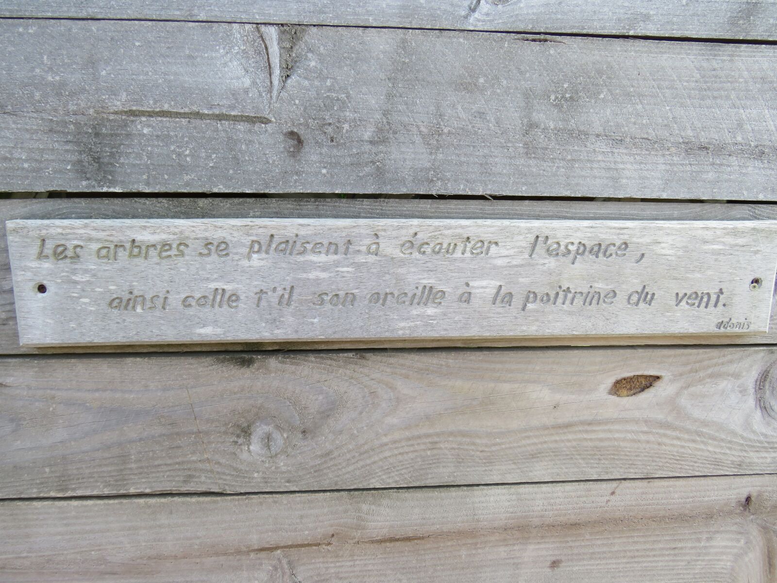 Canon PowerShot SX540 HS sample photo. Wood, text, words photography