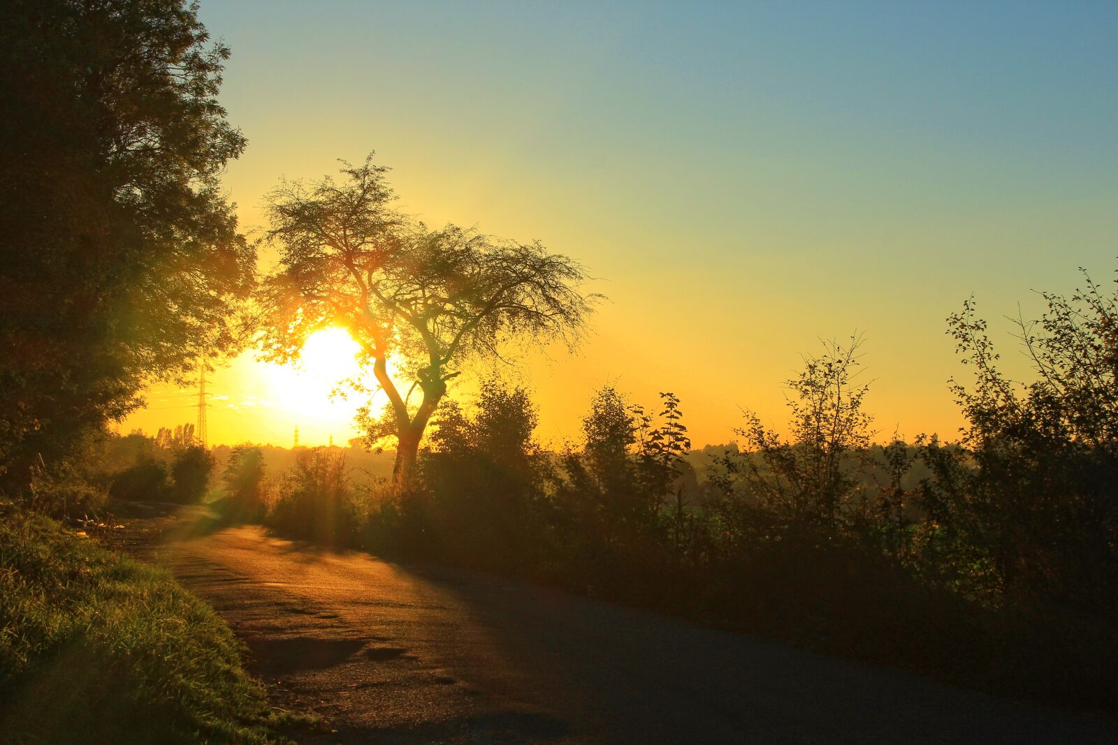 Canon EOS 1200D (EOS Rebel T5 / EOS Kiss X70 / EOS Hi) sample photo. Sunset, path, tree photography