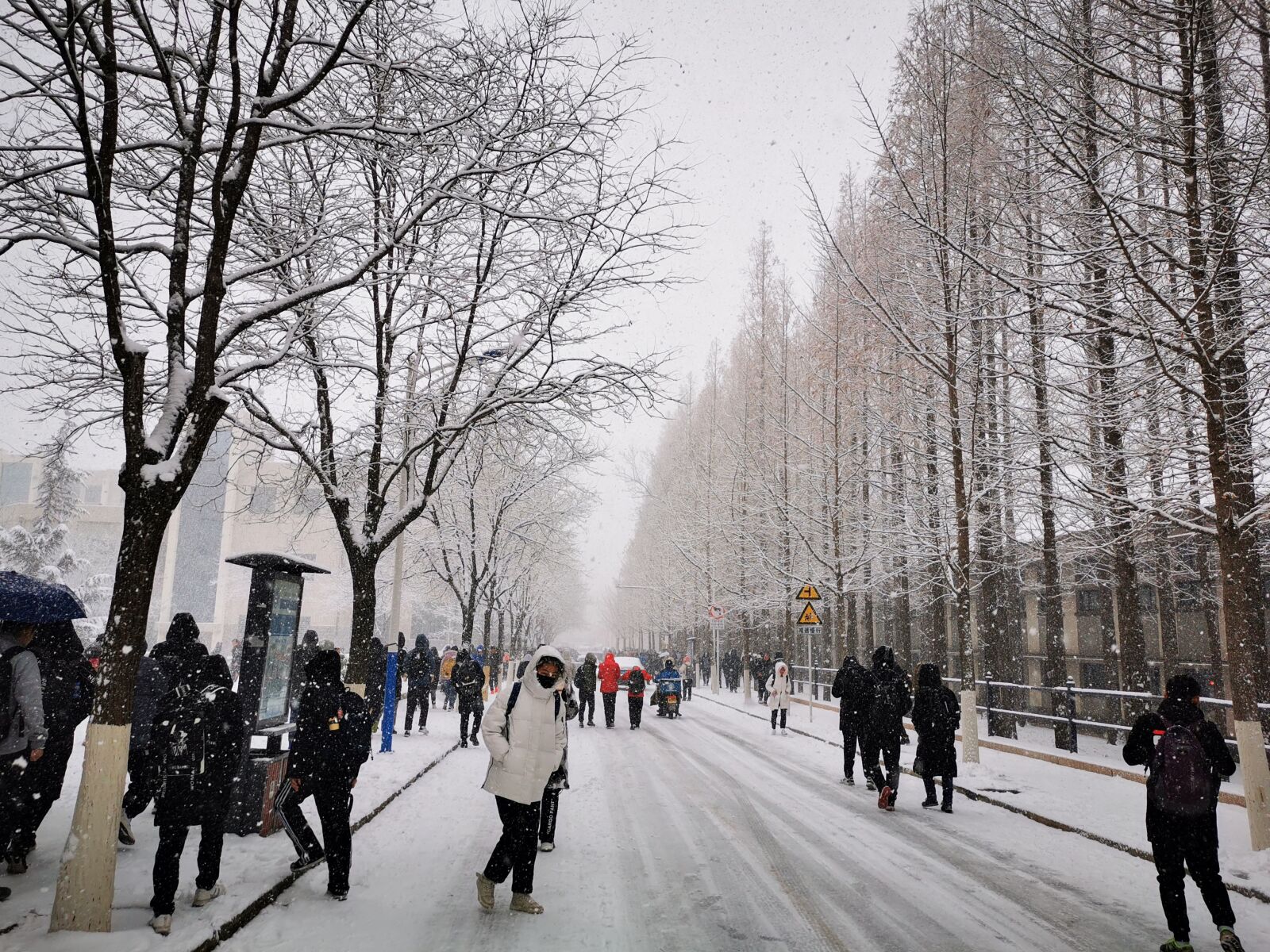 HUAWEI P30 sample photo. Snow, dream, natural photography
