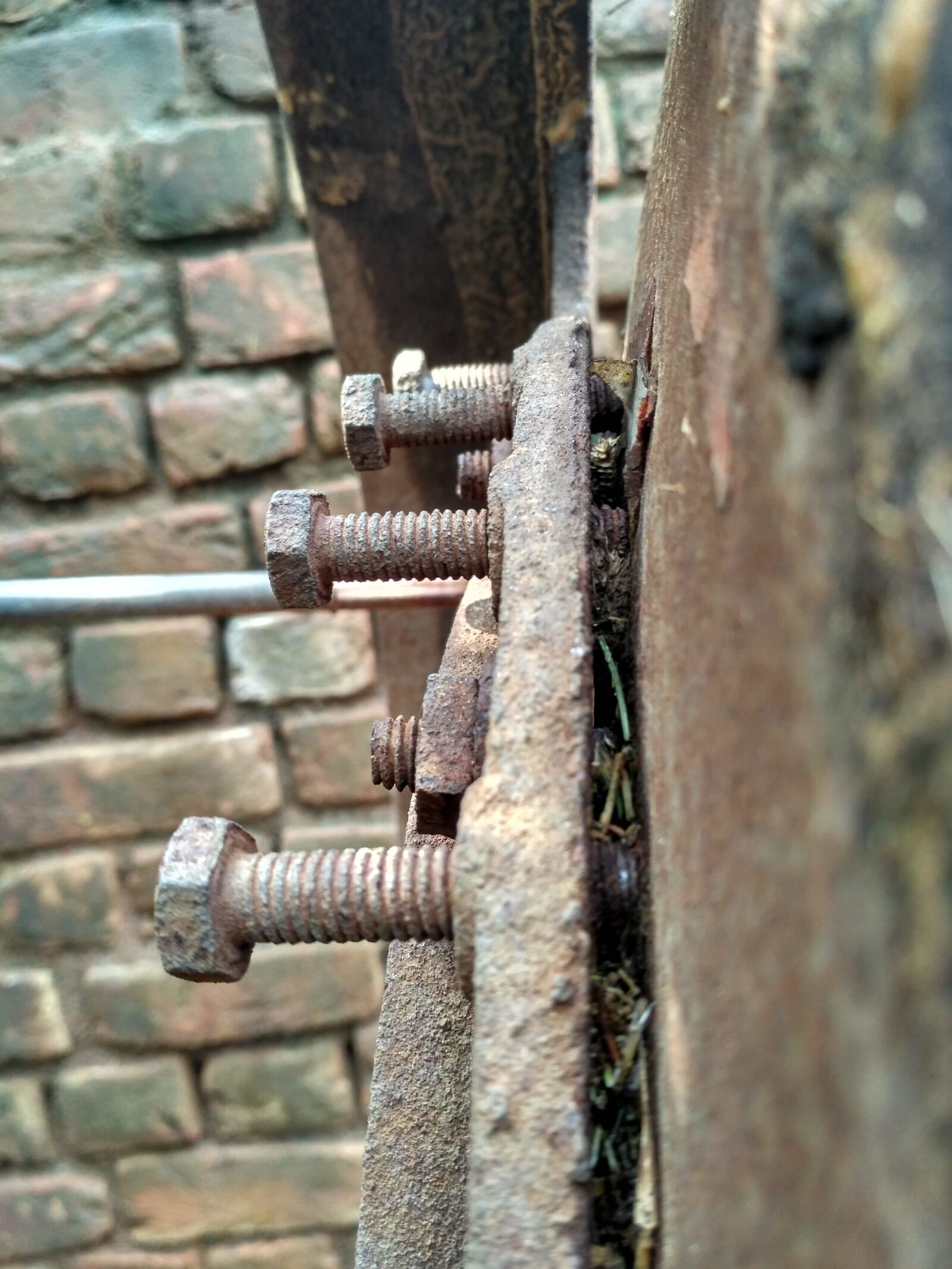 Xiaomi Redmi 3S sample photo. Rust, bullets, iron photography