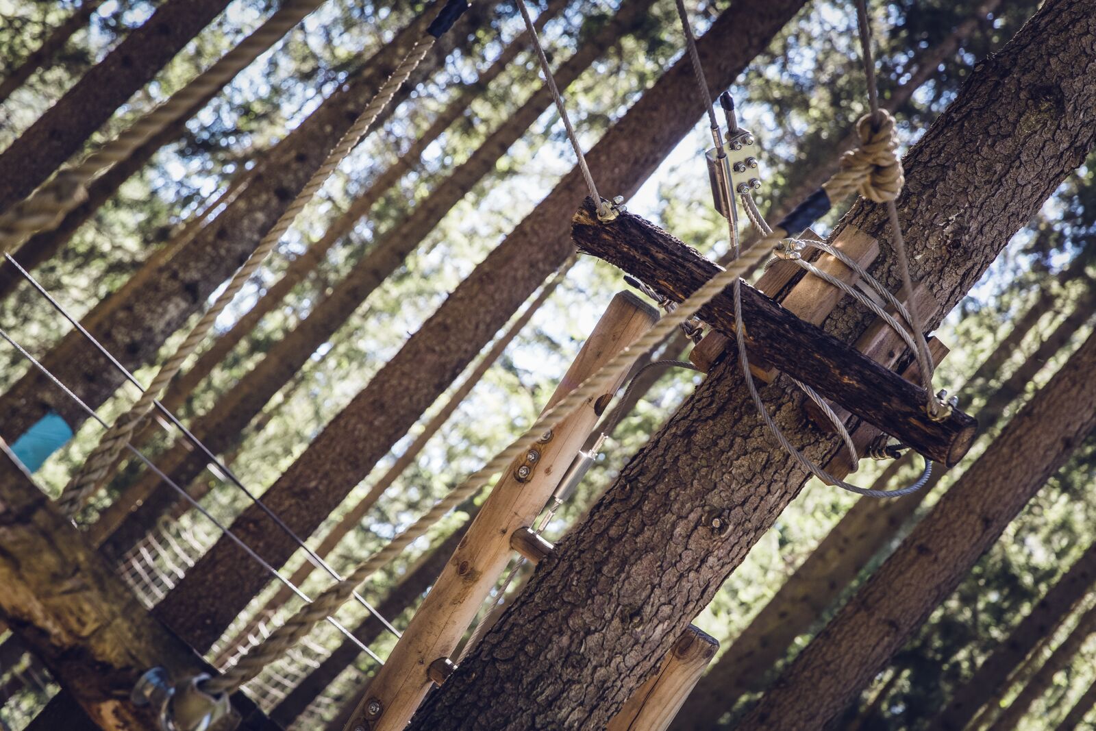 Canon EF 24-70mm F2.8L II USM sample photo. Climb, high ropes course photography