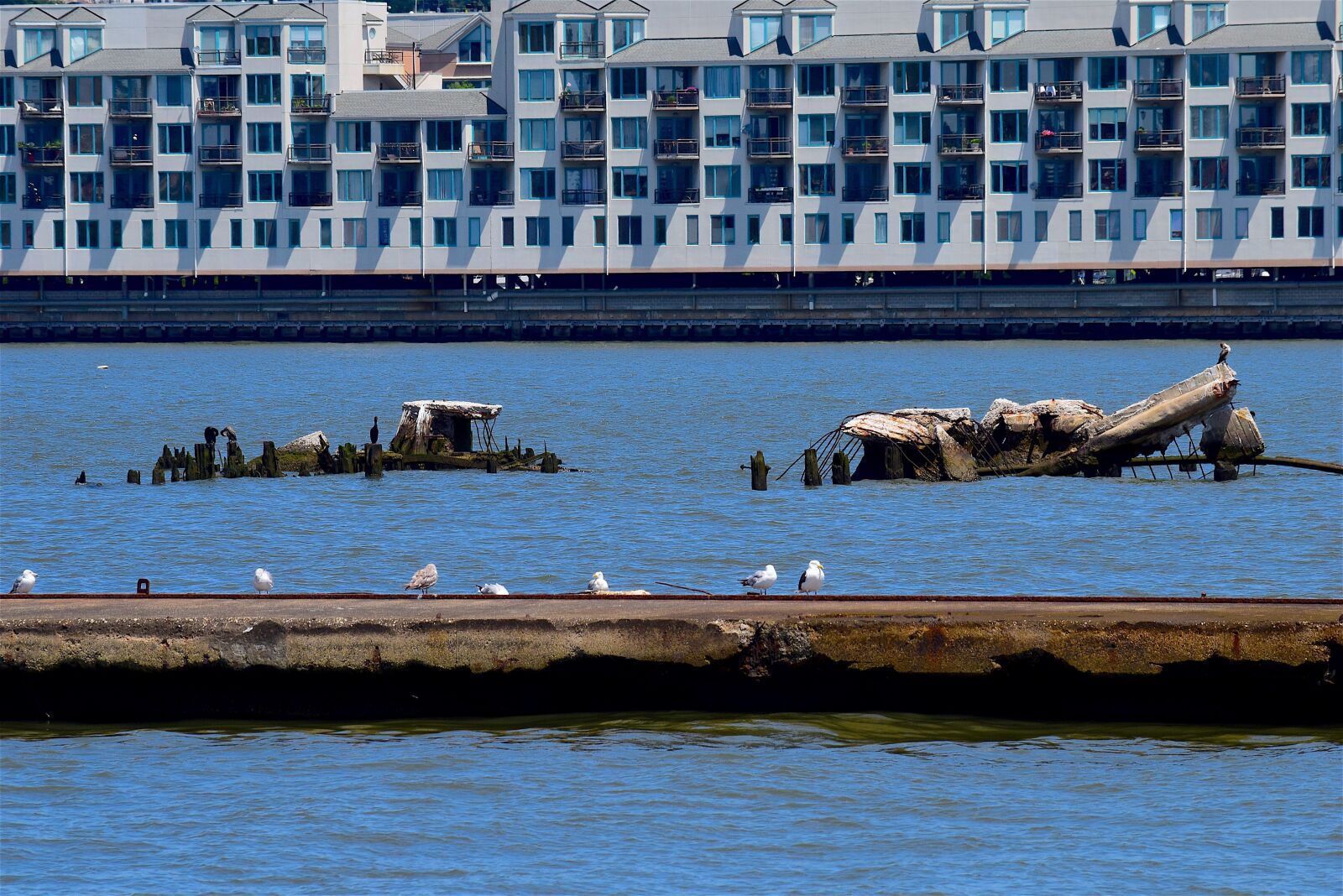 Nikon D3300 sample photo. Dock, harbor, sea gulls photography