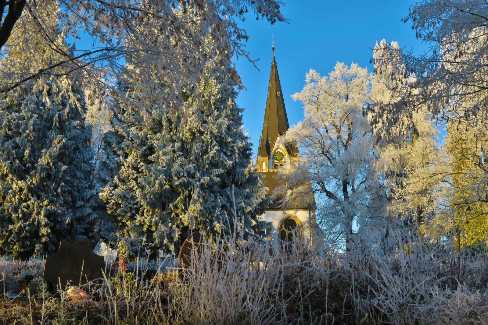 Canon PowerShot G7 X sample photo. Trees, church, nature photography