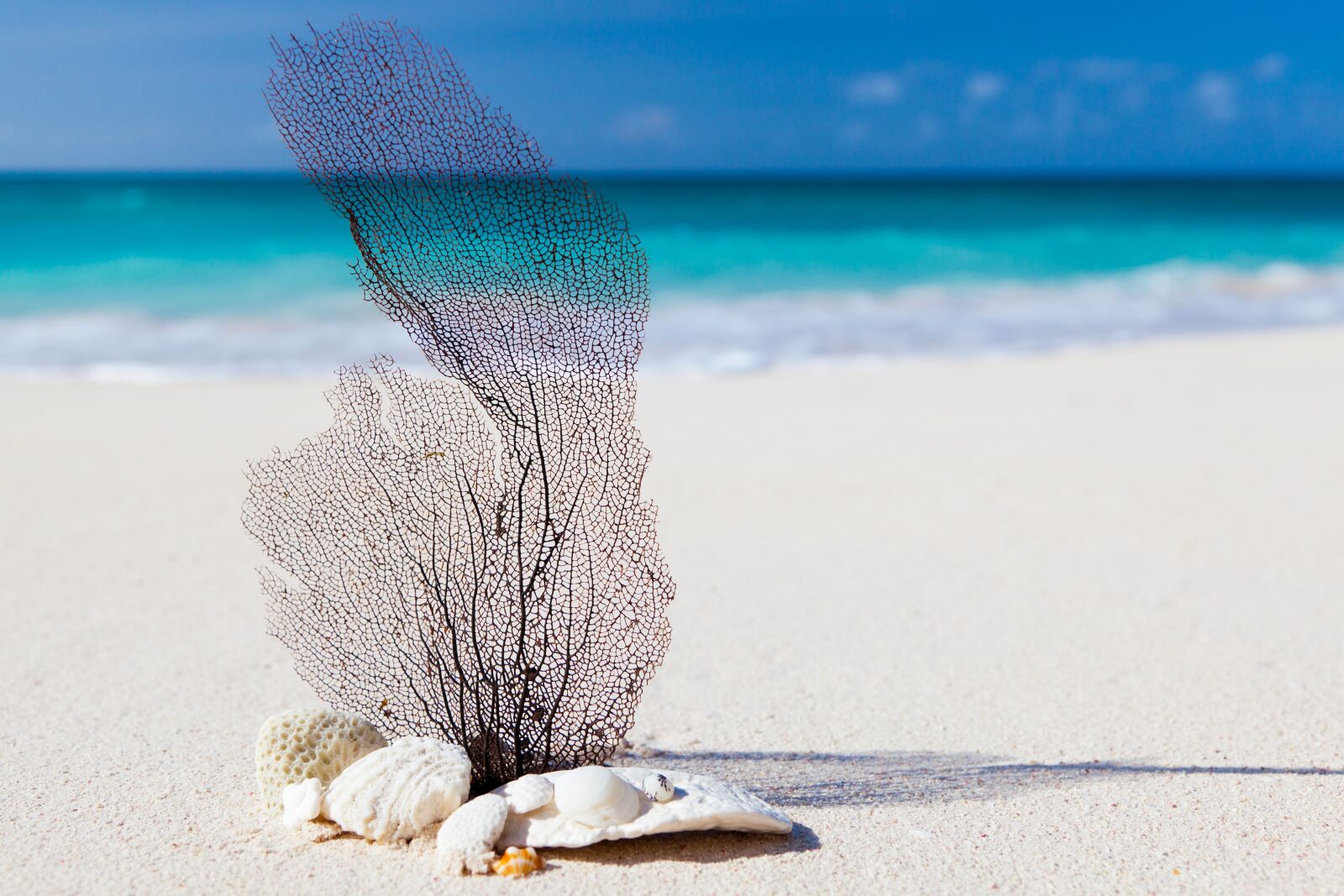 Canon EOS 5D Mark II sample photo. Sea, nature, beach, sand photography