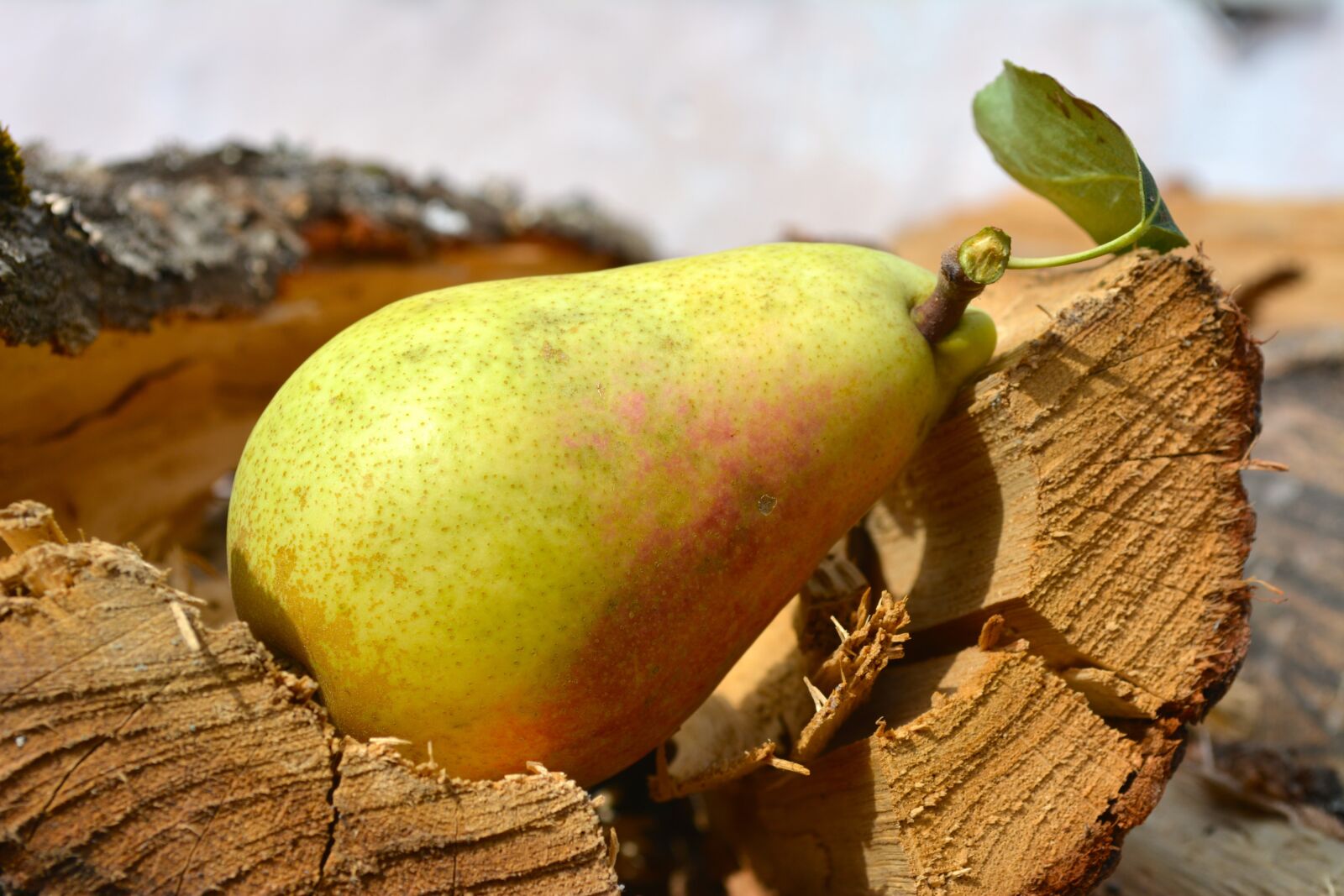 Nikon D5200 sample photo. Pear, green pear, pear photography