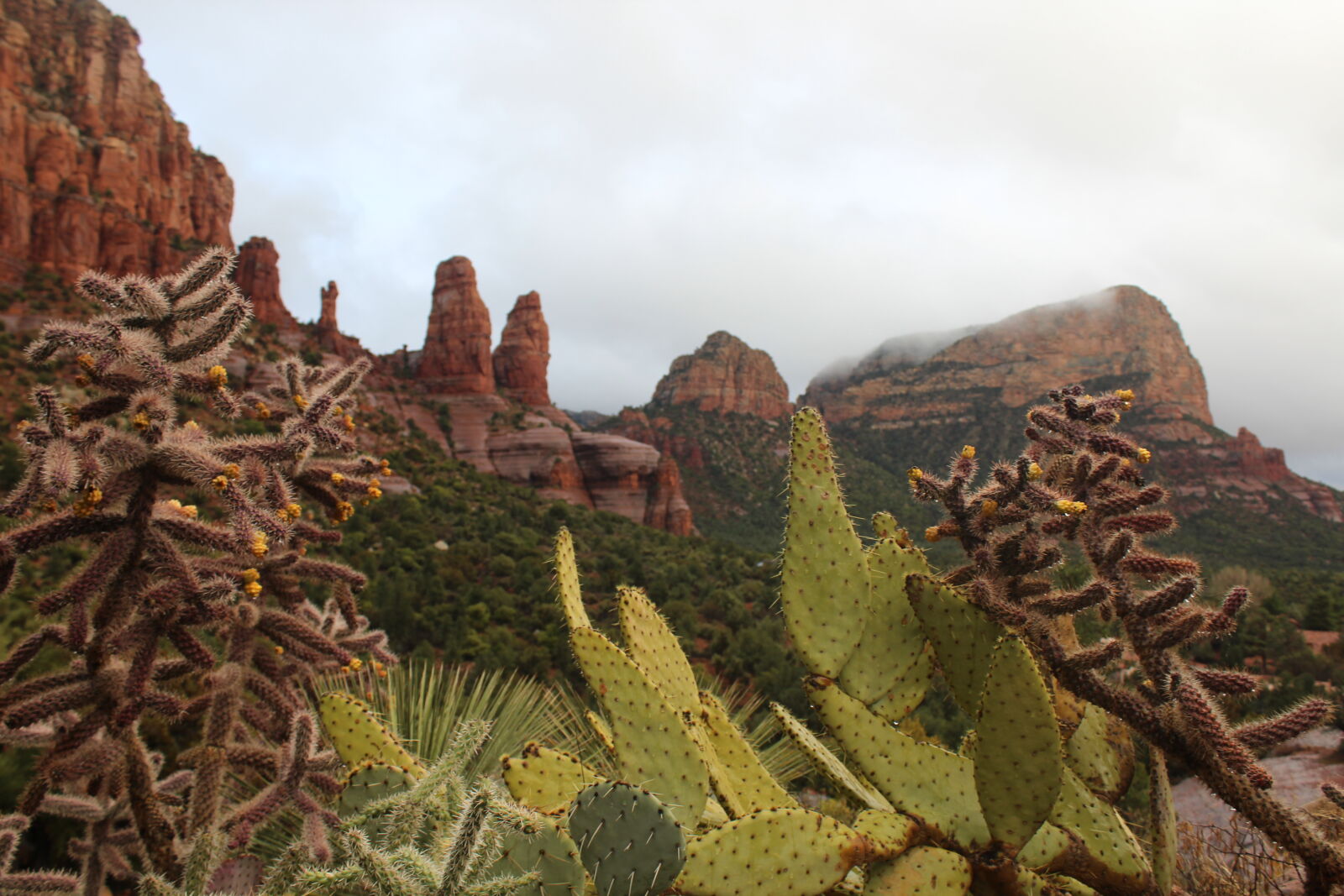 Canon EOS 1200D (EOS Rebel T5 / EOS Kiss X70 / EOS Hi) sample photo. Cactus, desert, rock, rock photography