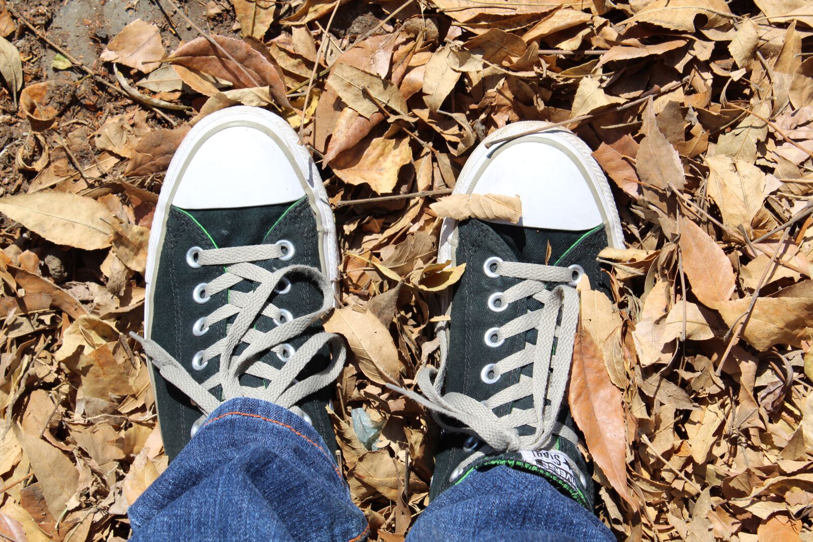 Canon EOS 1300D (EOS Rebel T6 / EOS Kiss X80) sample photo. Teen, converse, black photography