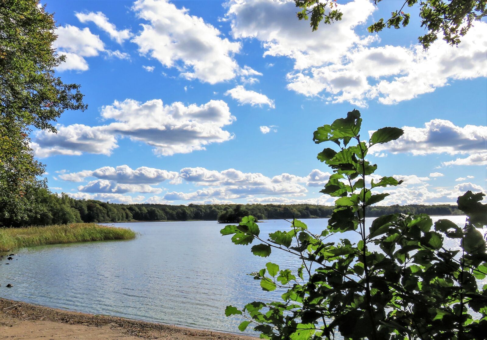 Canon PowerShot SX710 HS sample photo. Lake, landscape, autumn photography