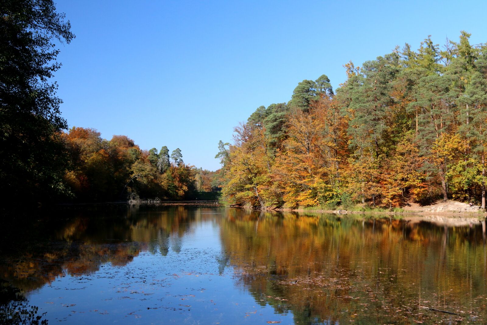 Canon EOS 70D + Canon EF 24-105mm F4L IS USM sample photo. Stuttgart, pfaffenteich lake, bear photography