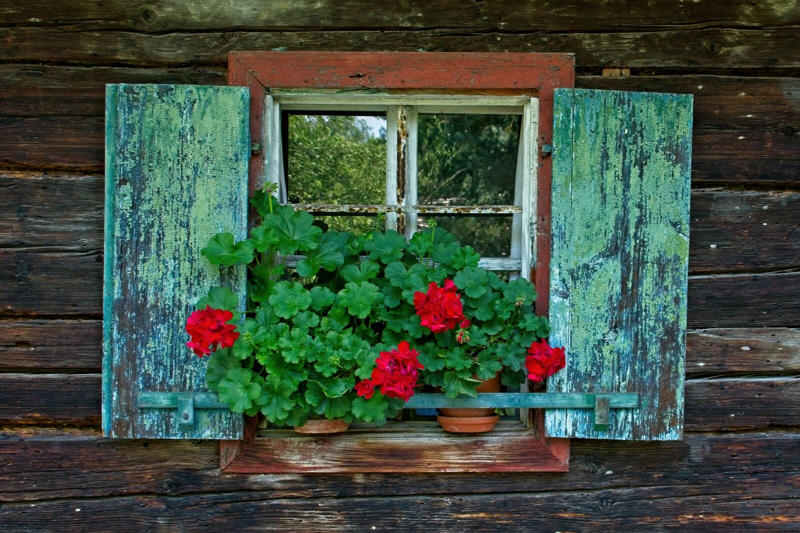 Nikon D7100 + Nikon AF-S DX Nikkor 35mm F1.8G sample photo. Window, wooden windows, shutter photography