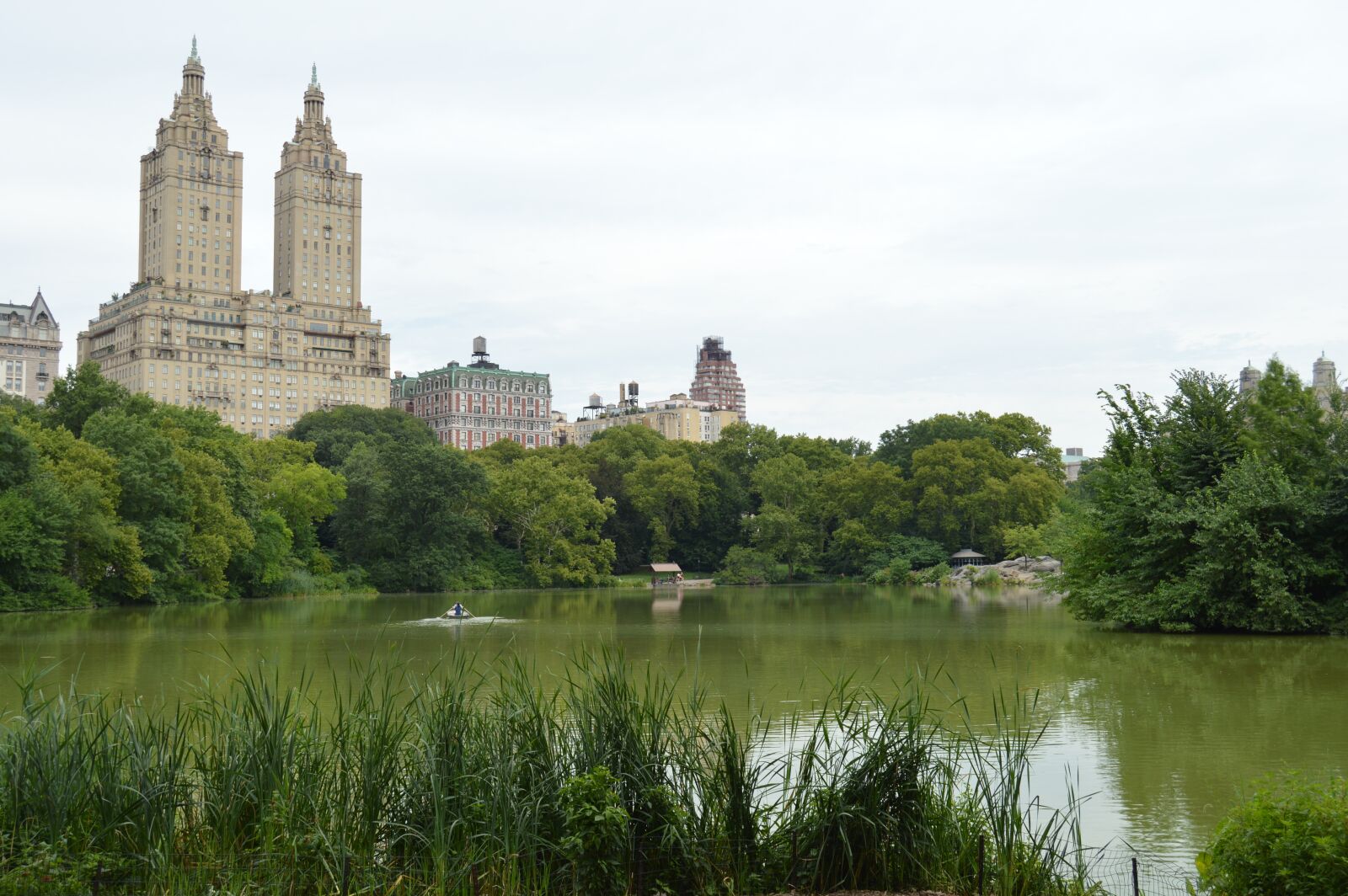 Nikon D3200 sample photo. Central park, nyc, manhattan photography
