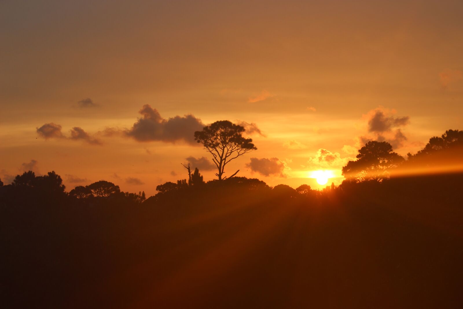 Canon EOS 600D (Rebel EOS T3i / EOS Kiss X5) sample photo. Sunset, evening, landscape photography