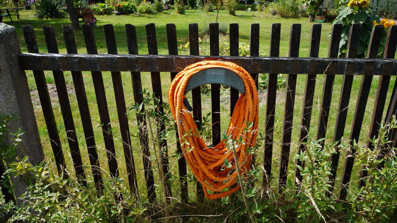 Sony Alpha a3000 + Sony E 18-55mm F3.5-5.6 OSS sample photo. Garden, hose, fence photography