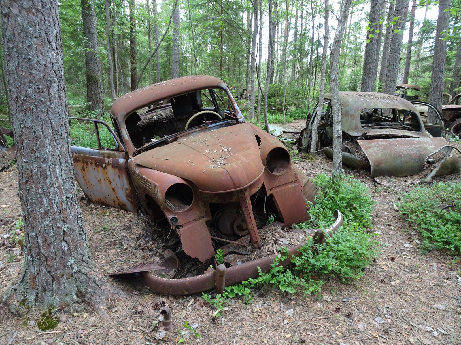 Sony Cyber-shot DSC-WX500 sample photo. Junk car, car, nature photography