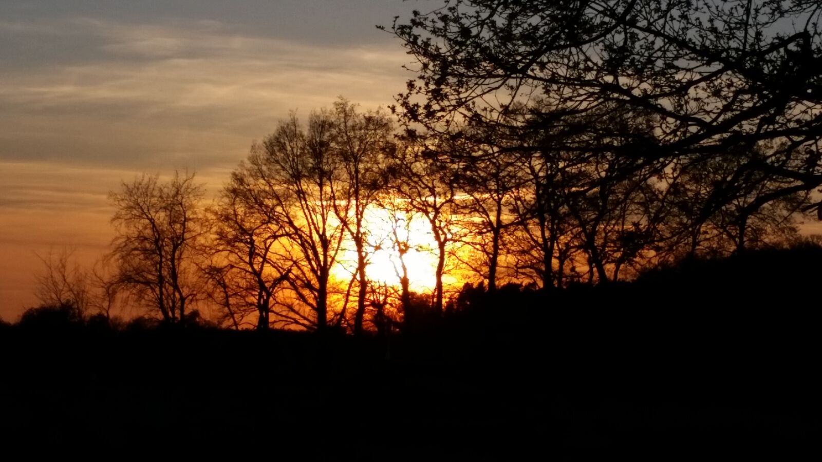 Samsung Galaxy S5 sample photo. Sunset, autumn, nature photography
