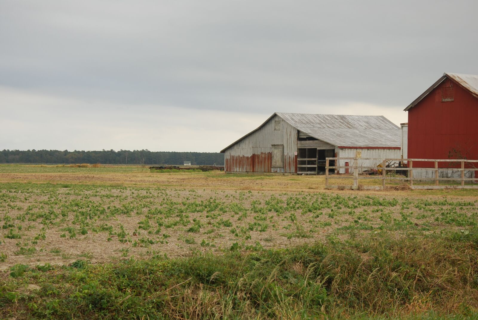 Nikon D80 sample photo. Barn, farm, rural photography