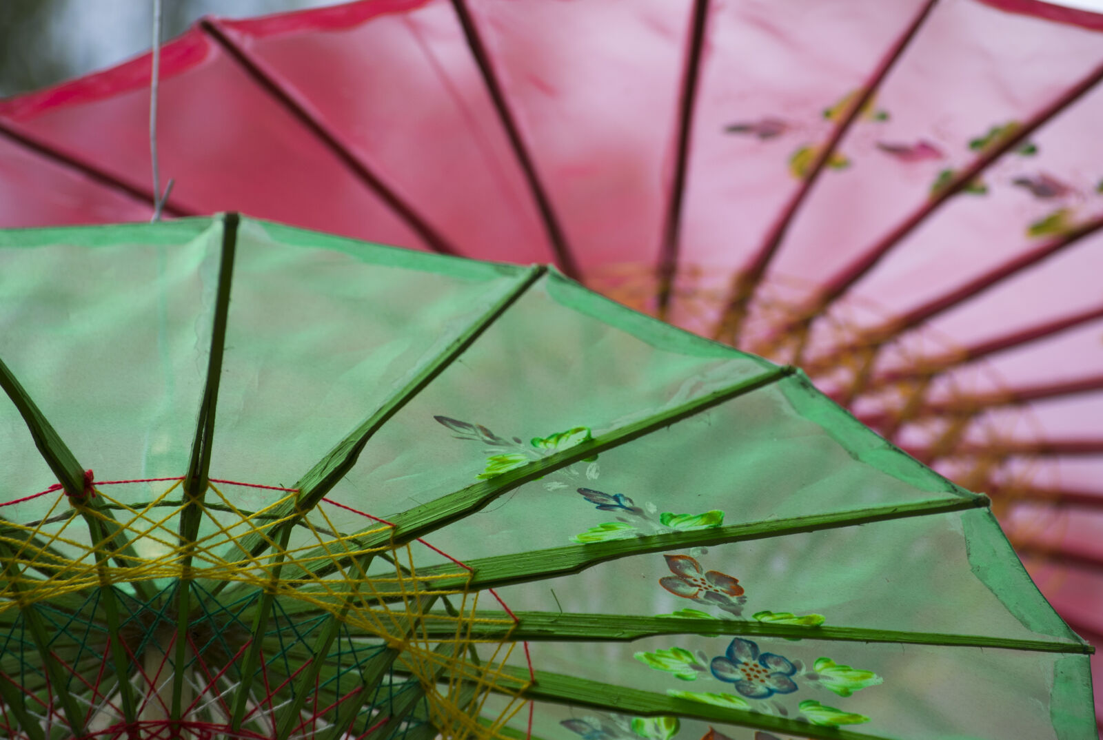 Nikon D3300 sample photo. Colors, umbrella photography