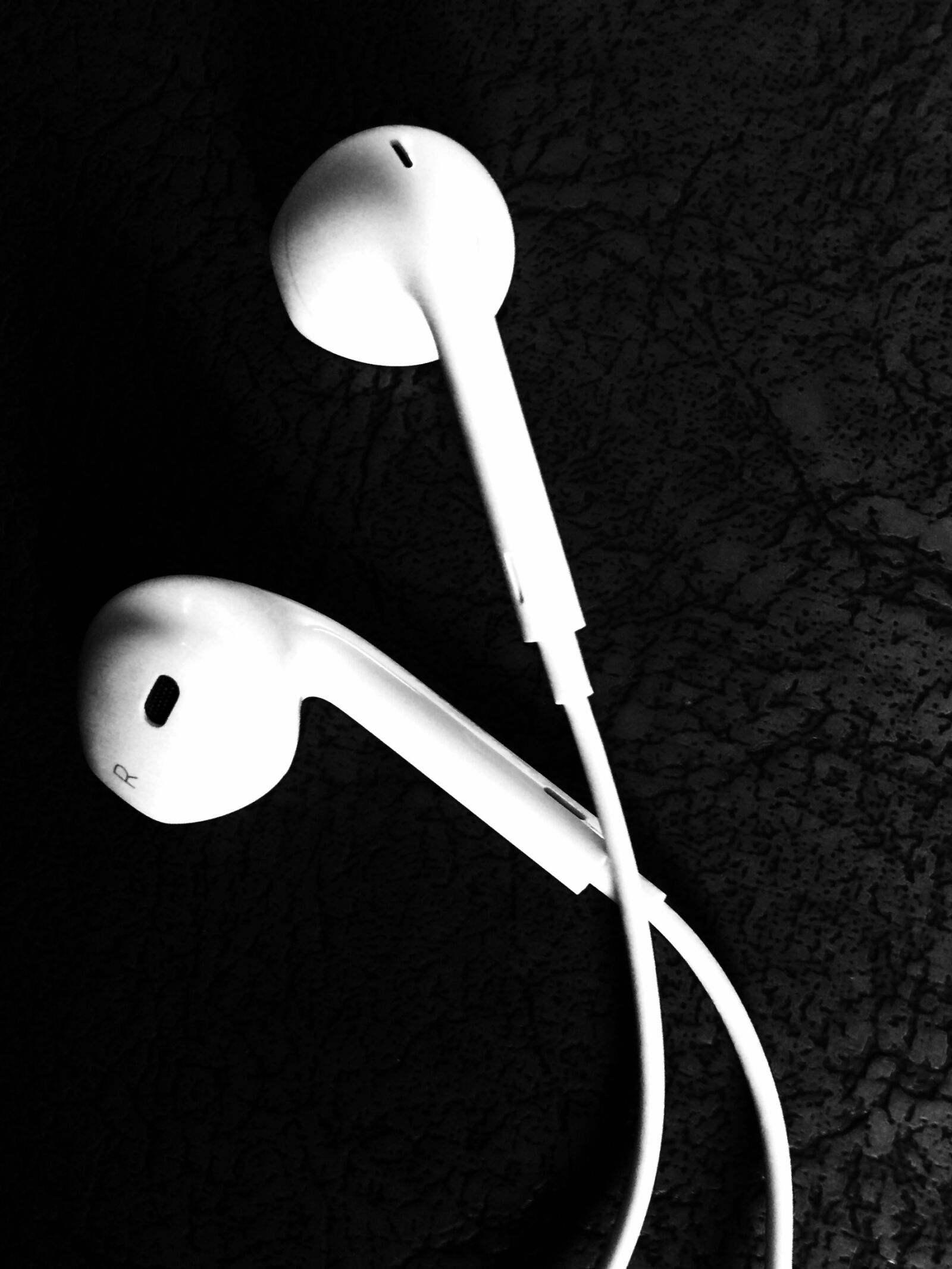 iPhone 5s back camera 4.15mm f/2.2 sample photo