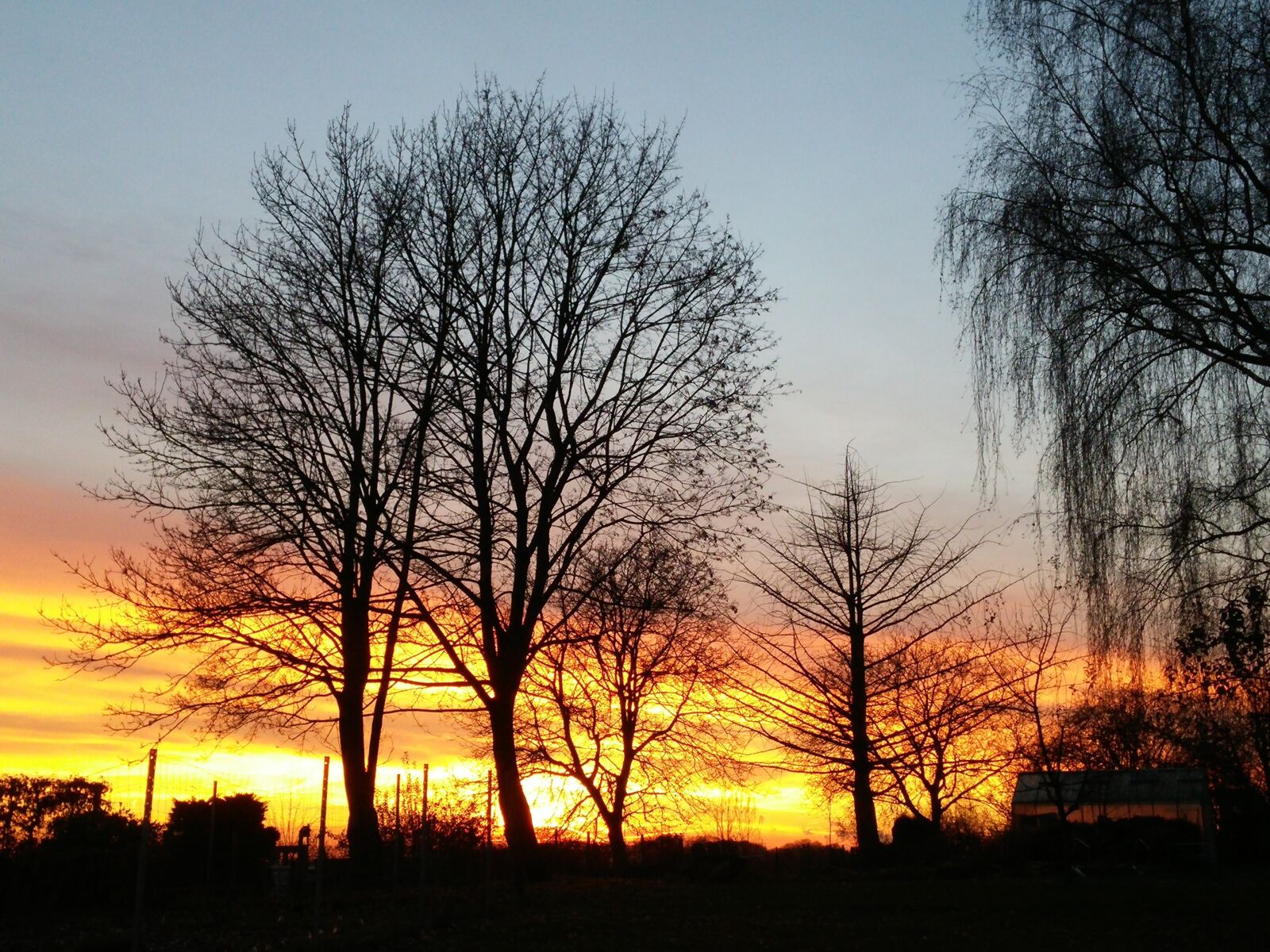 LG D855 sample photo. Sunset, tree, abendstimmung photography