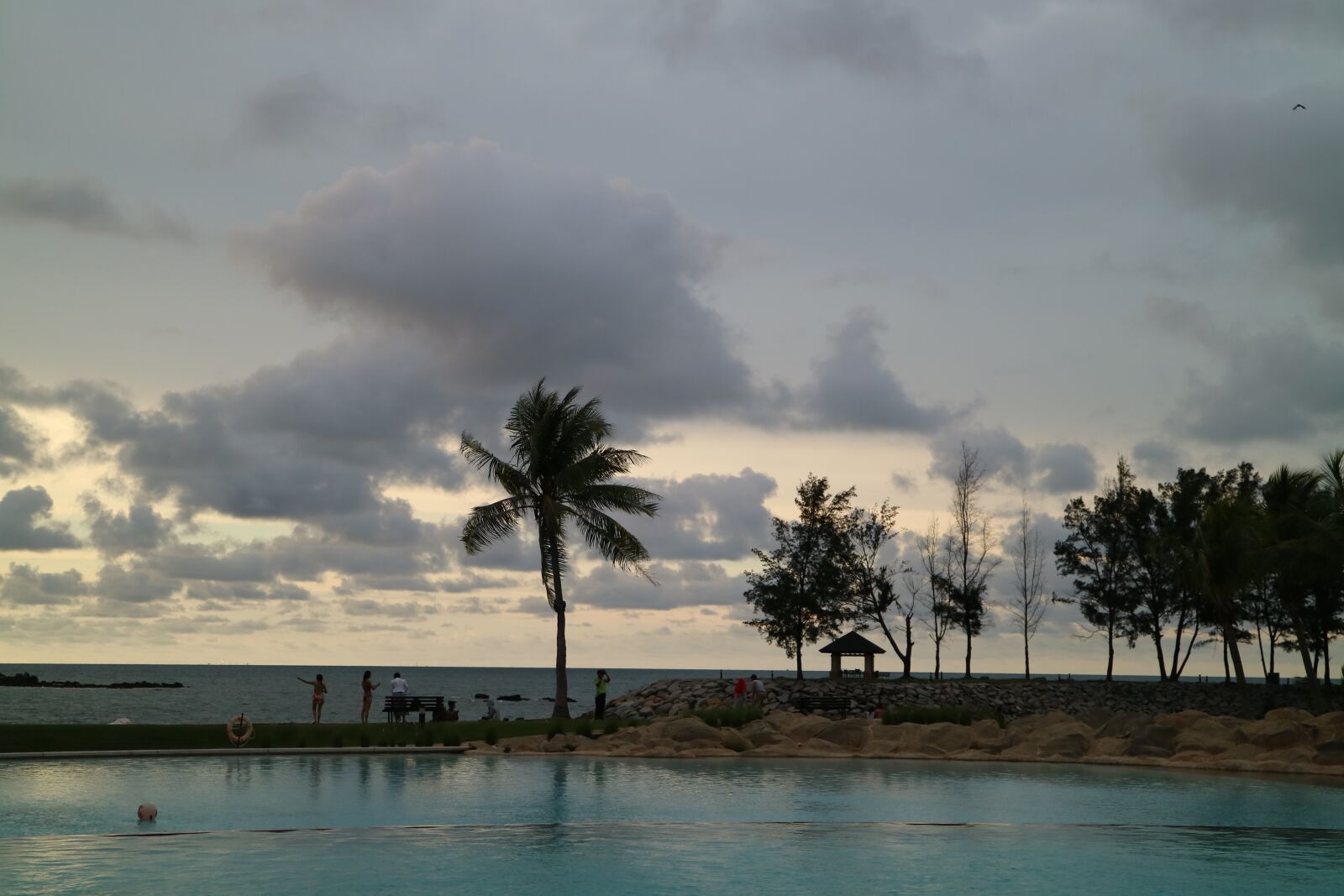 Canon EOS M3 sample photo. Coconut, resort, sunset photography