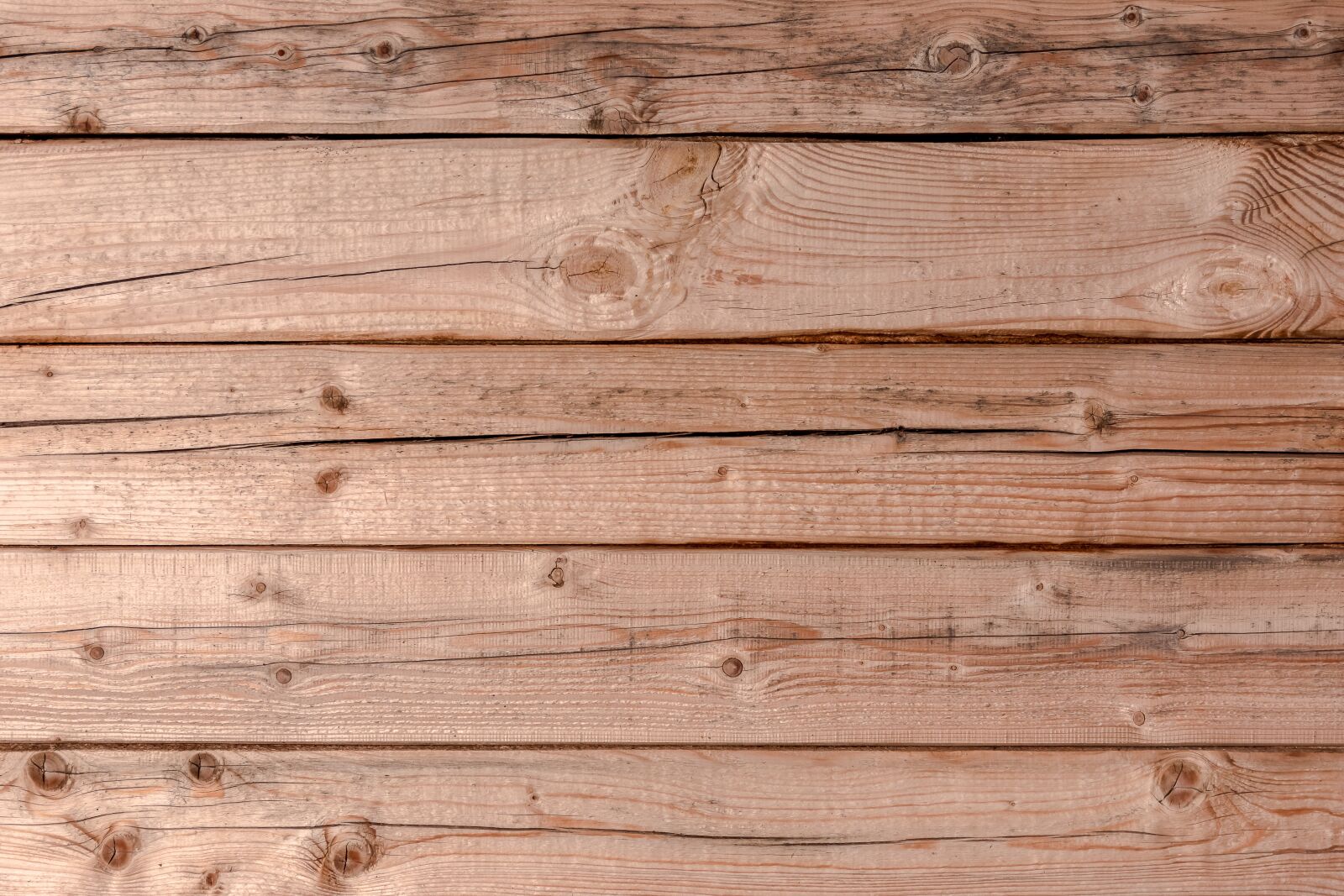 Nikon D7200 sample photo. Texture, tree, boards photography