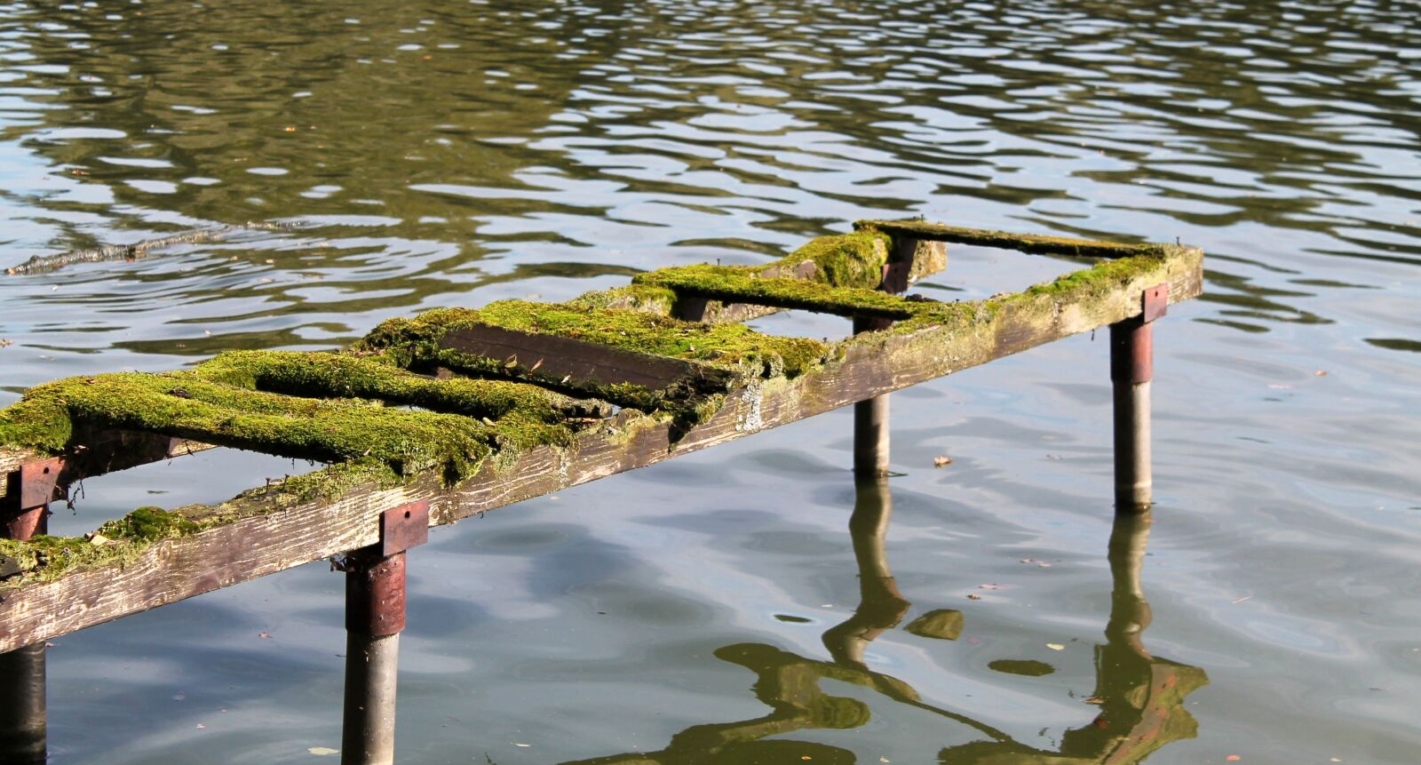Canon EOS 1100D (EOS Rebel T3 / EOS Kiss X50) sample photo. Steeg, moss, nature photography