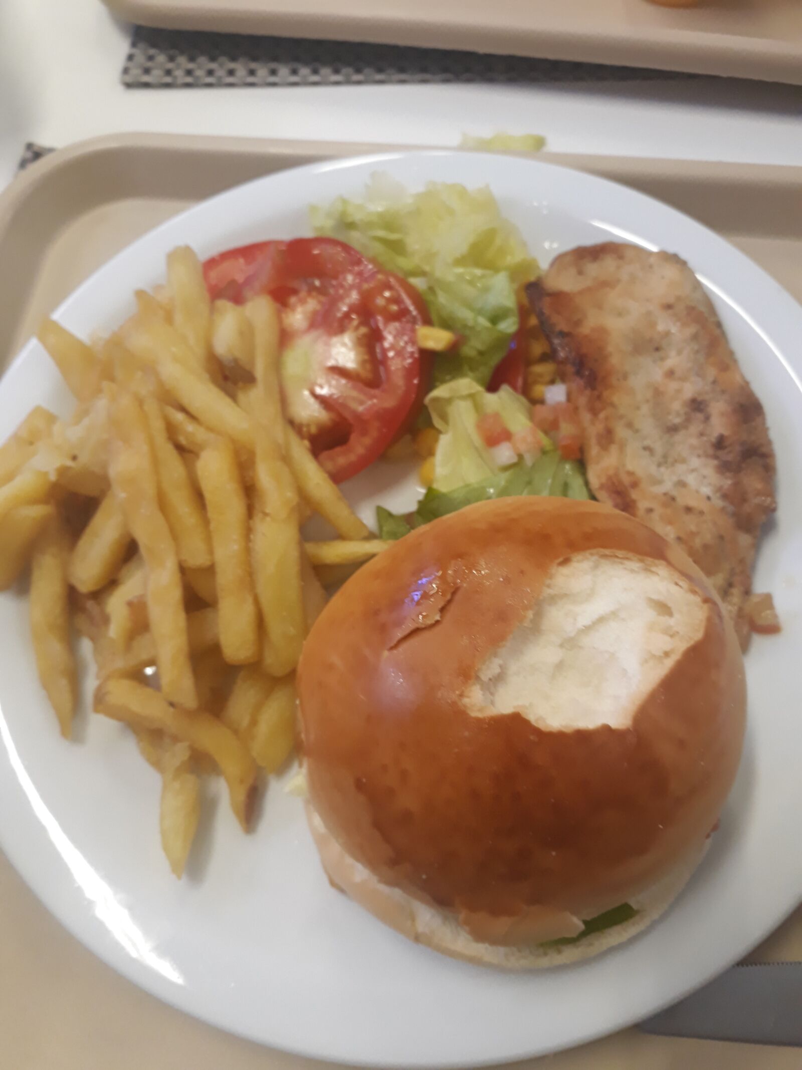 Samsung Galaxy J5(2016) sample photo. Burger, potato, snack photography