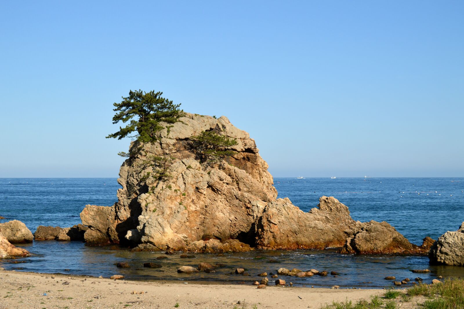 Nikon D3200 sample photo. Sea, sol island, pine photography