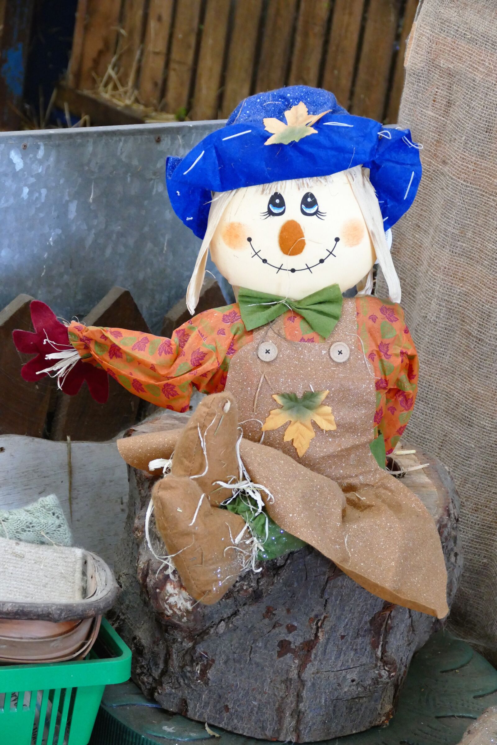 Panasonic Lumix DMC-FZ1000 sample photo. Scarecrow, doll, garden photography