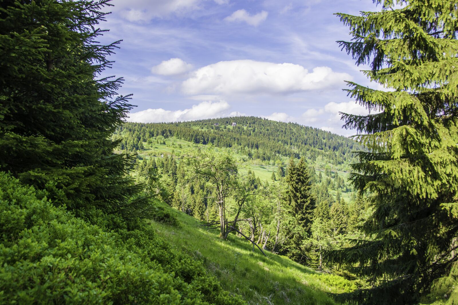 Nikon D7100 sample photo. Ore mountains, home, mountains photography