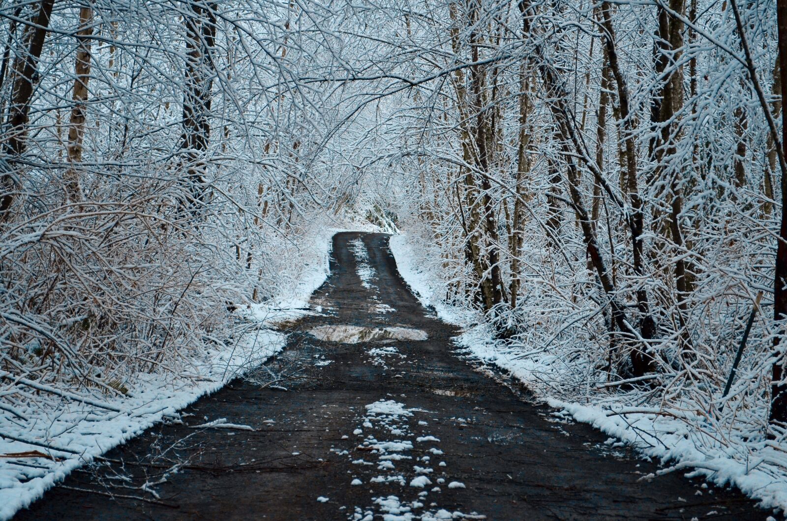 Nikon D5100 sample photo. Road, snow, forest photography