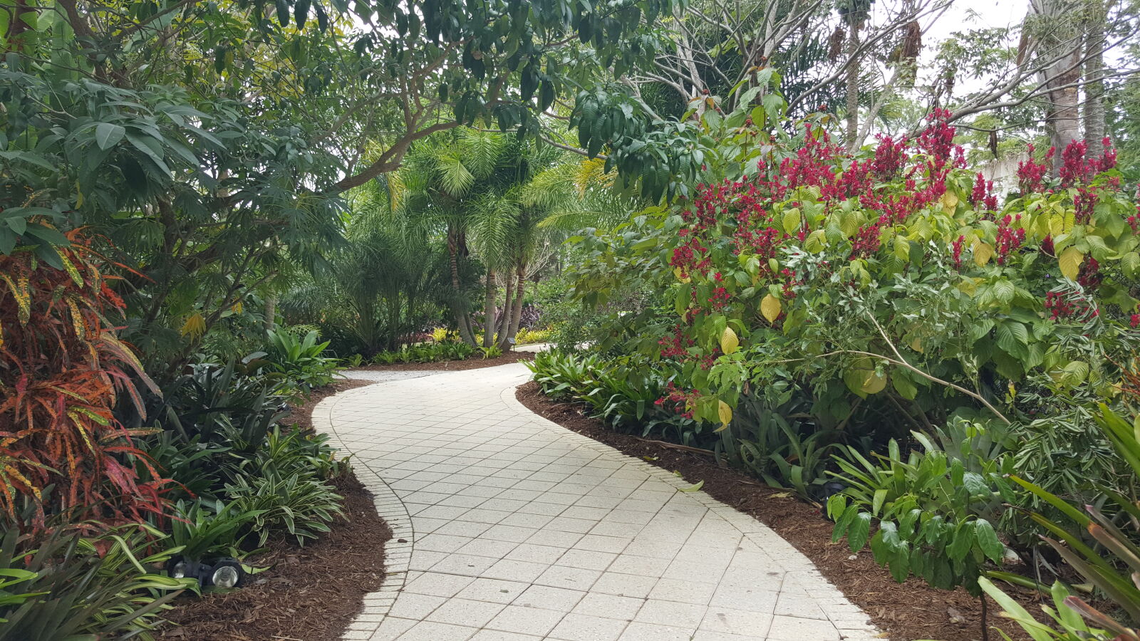 Samsung GALAXY S6 edge sample photo. Botanical, gardens, naples photography