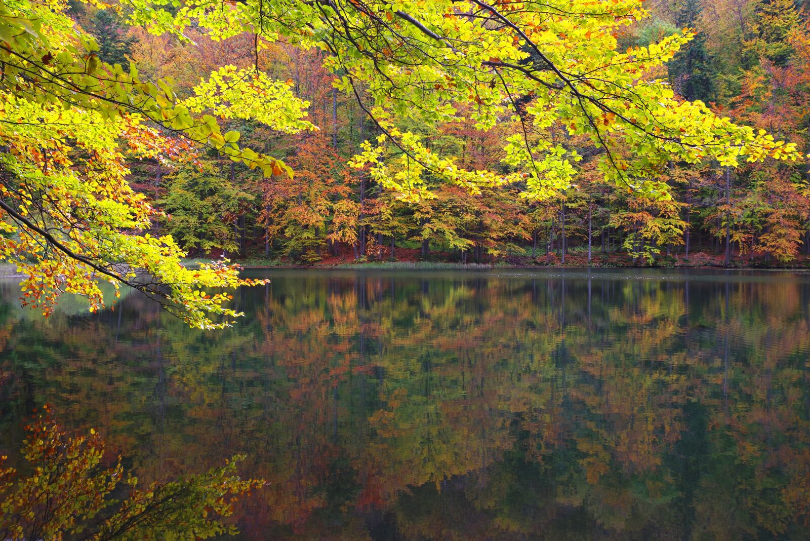 Pentax K-1 sample photo. Lake duszaty skie, landscape photography