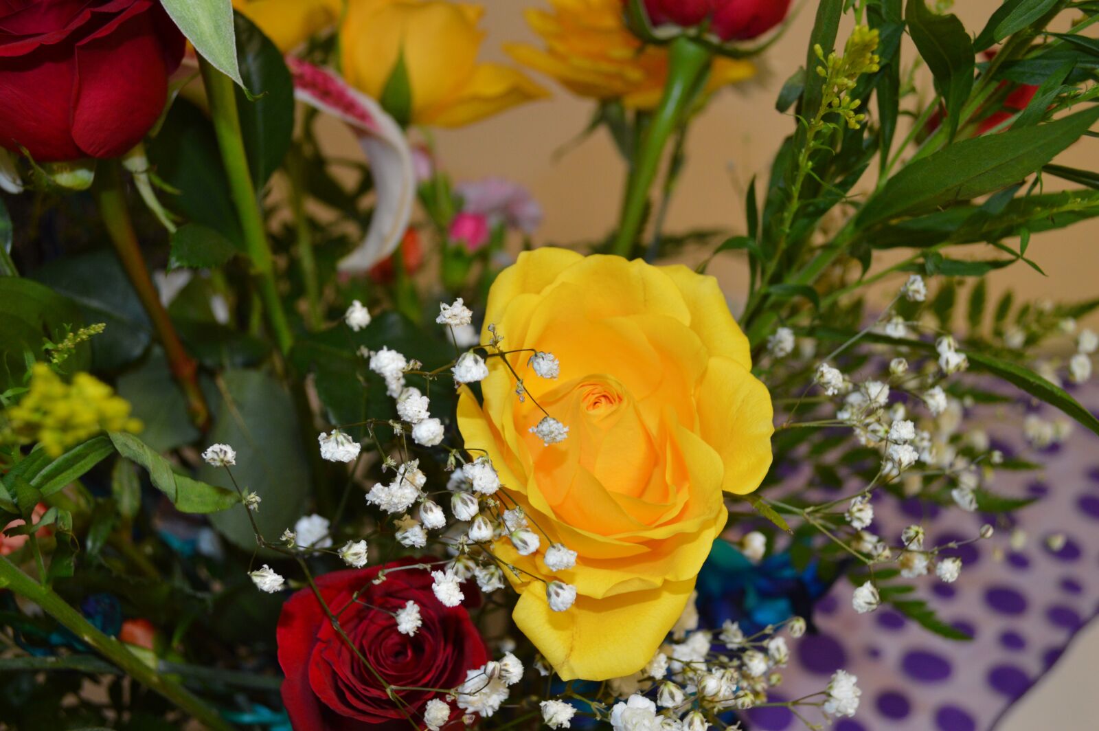 Nikon D3200 sample photo. Flower, yellow rose, decoration photography