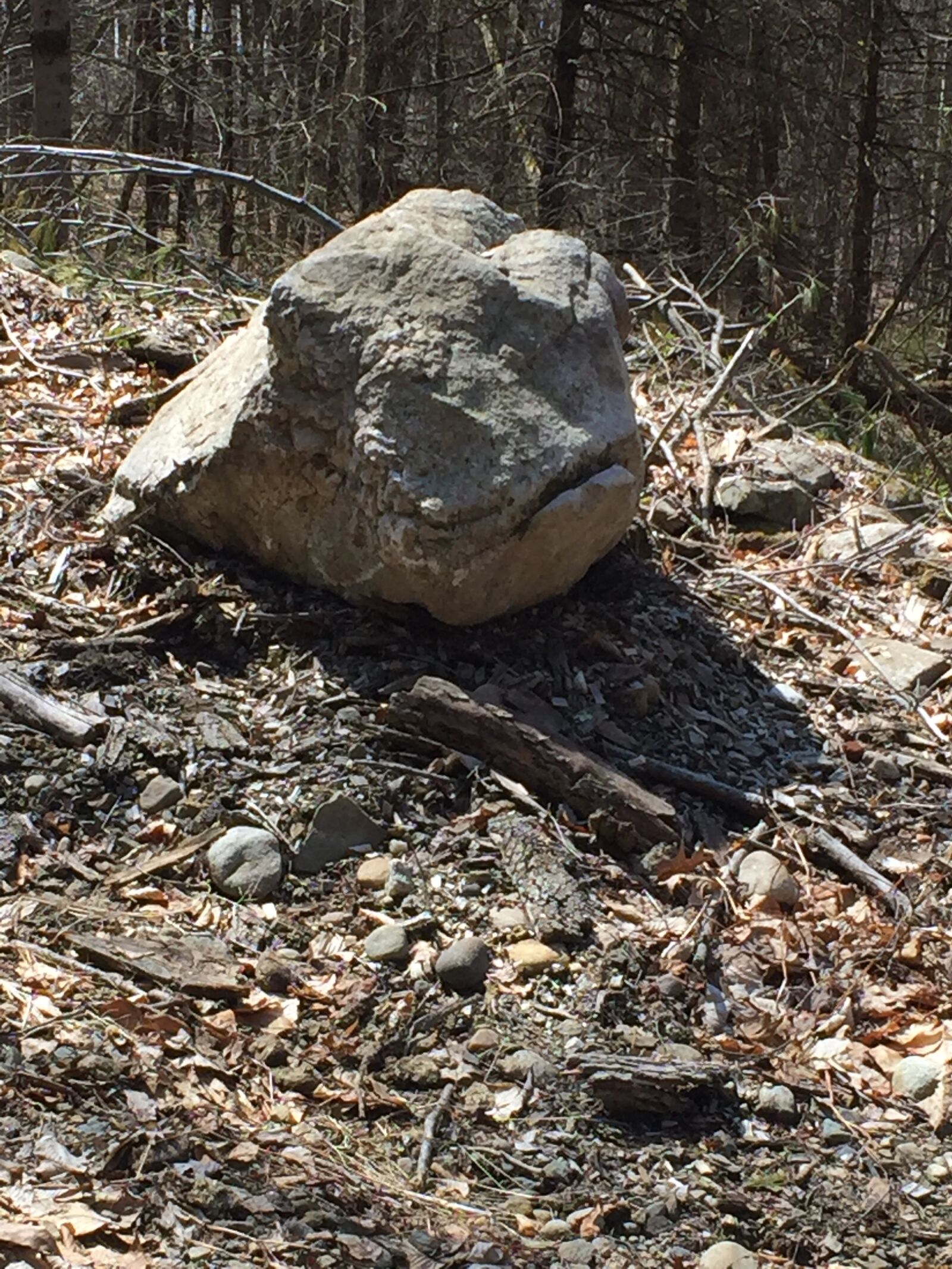 iPhone 6 back camera 4.15mm f/2.2 sample photo. Rock, frog, grumpy photography