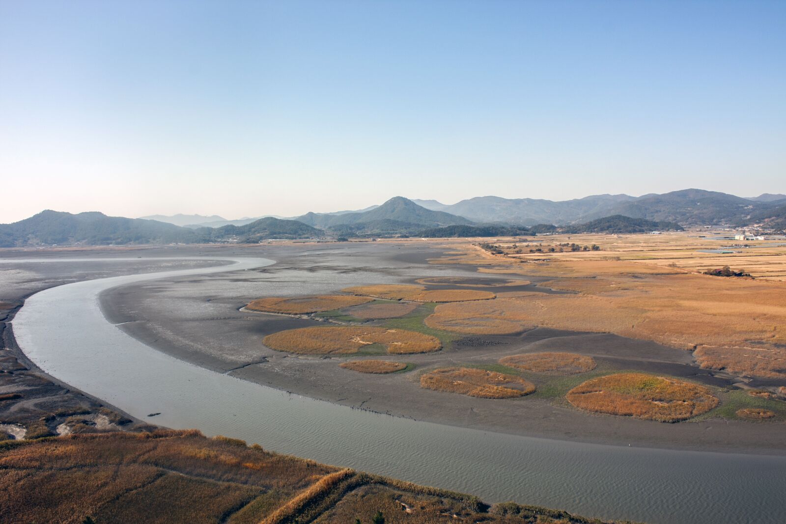 Canon EOS 450D (EOS Rebel XSi / EOS Kiss X2) sample photo. Suncheon, suncheon bay, marsh photography