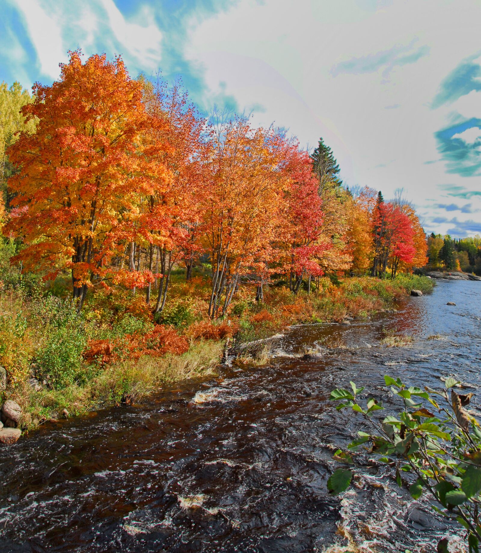 Nikon D200 sample photo. Autumn, fall, colors photography