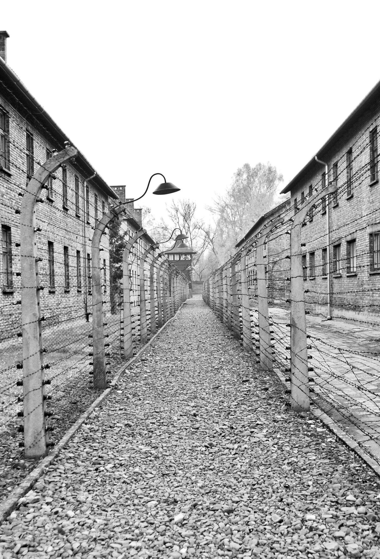 Nikon D200 sample photo. Auschwitz, camp, holocaust photography