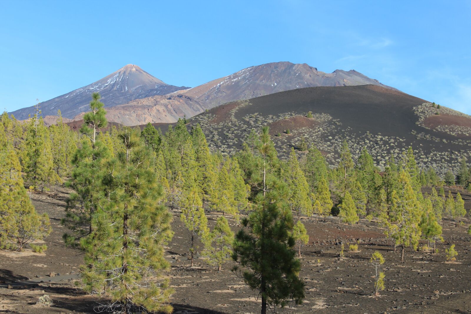 Canon EOS 1200D (EOS Rebel T5 / EOS Kiss X70 / EOS Hi) sample photo. Teide, tenerife, hiking photography