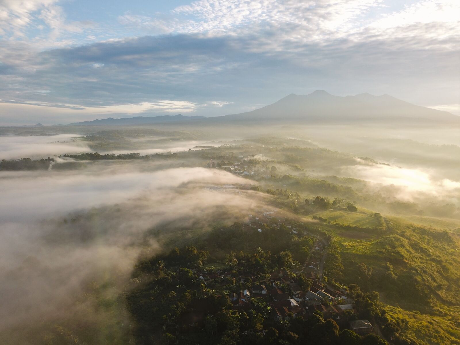 DJI FC220 sample photo. Aerial, photography, of, green photography