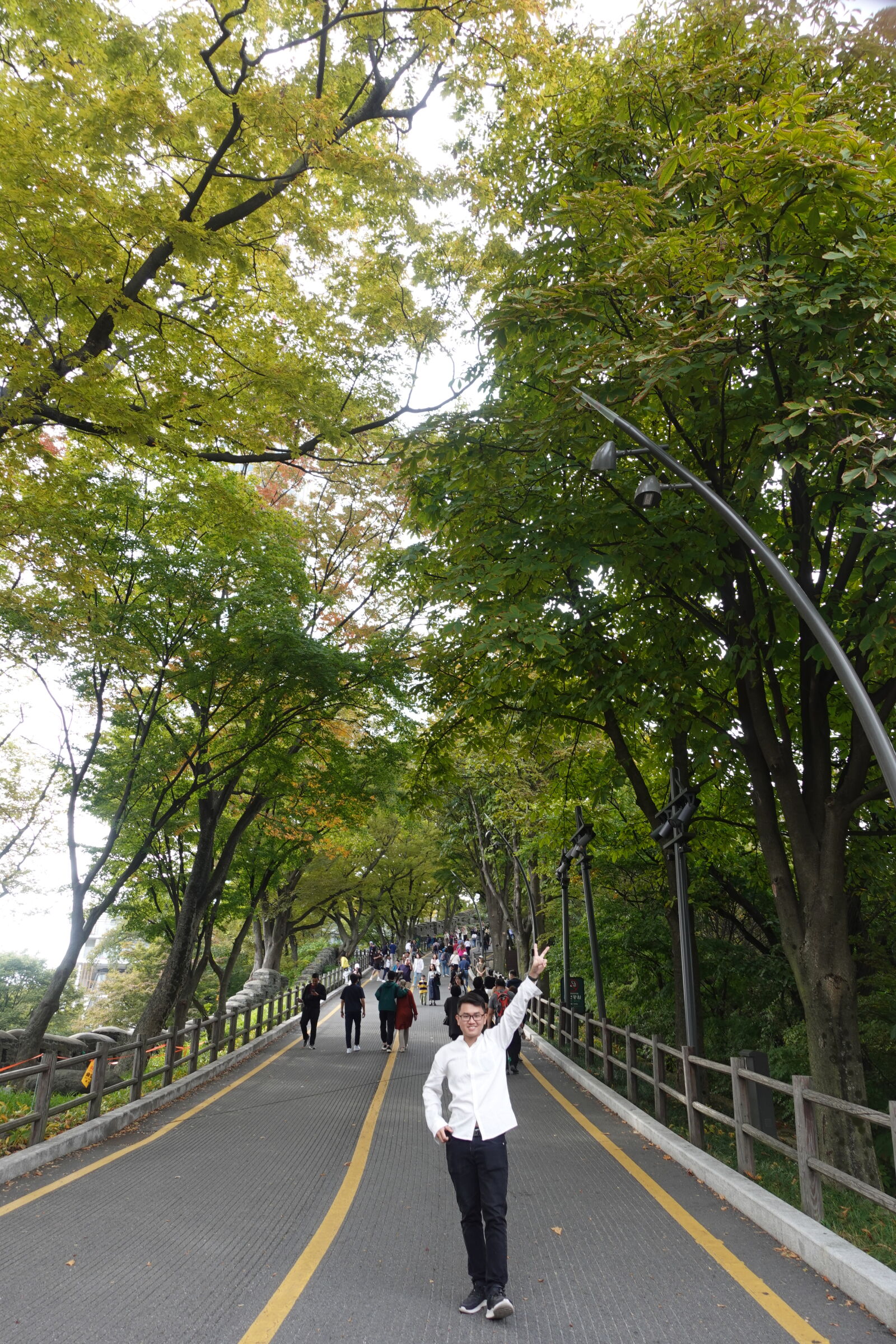 Sony ZV-1 sample photo