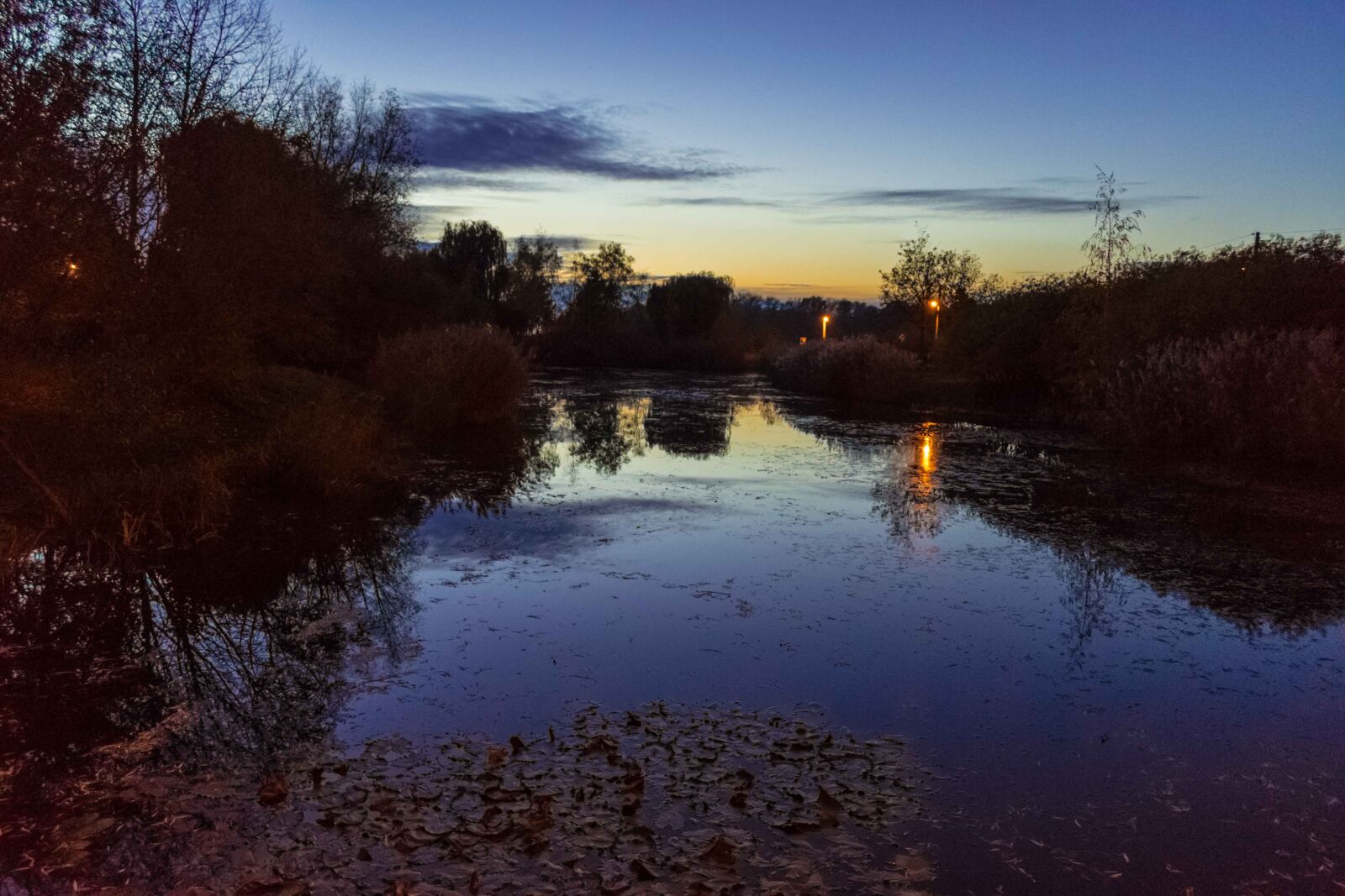Nikon D5600 sample photo. Pond, sky, sunset photography