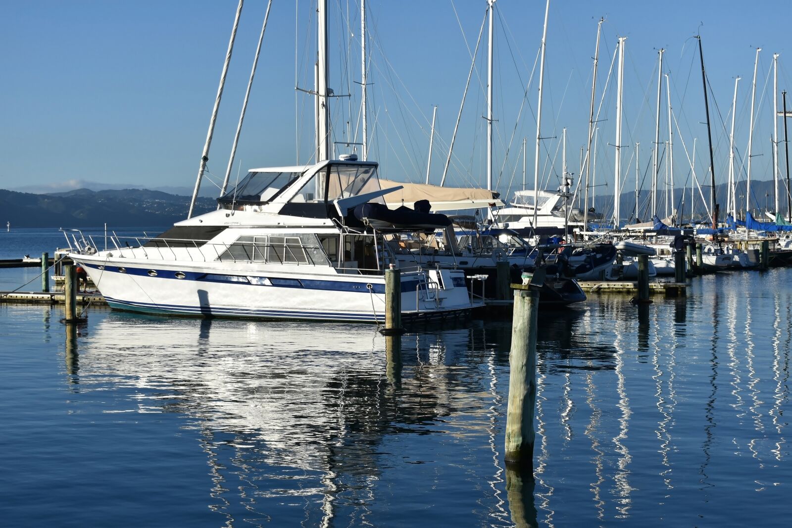 Nikon D3400 sample photo. Wellington, new zealand, city photography