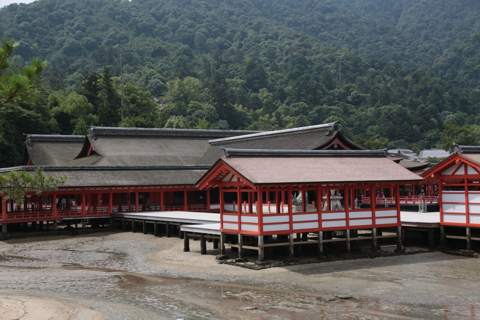 Canon EF 24-105mm F4L IS USM sample photo. Hiroshima, miyajima, shrine photography