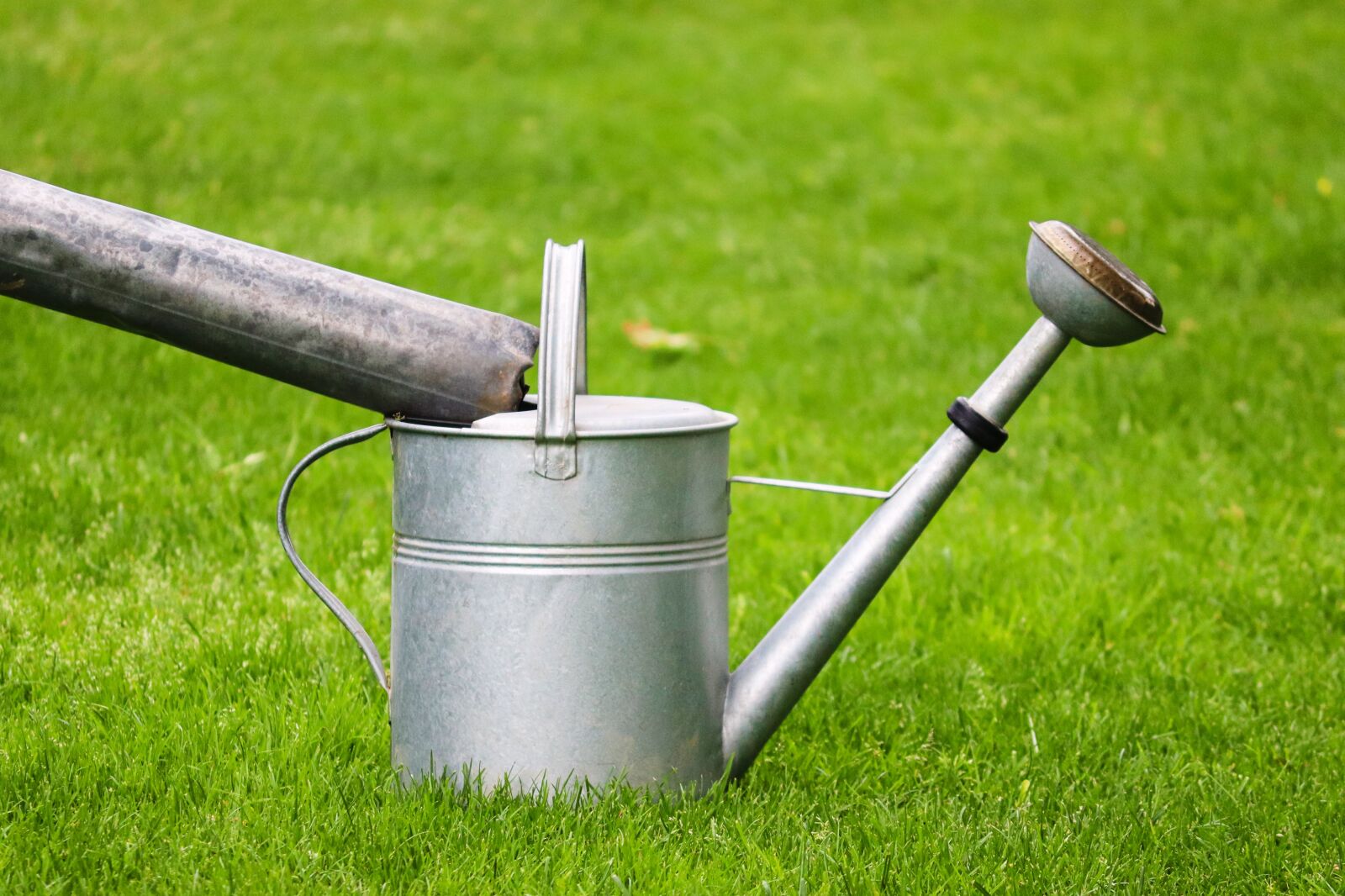 Canon EOS 200D (EOS Rebel SL2 / EOS Kiss X9) sample photo. Watering can, metal, inlet photography