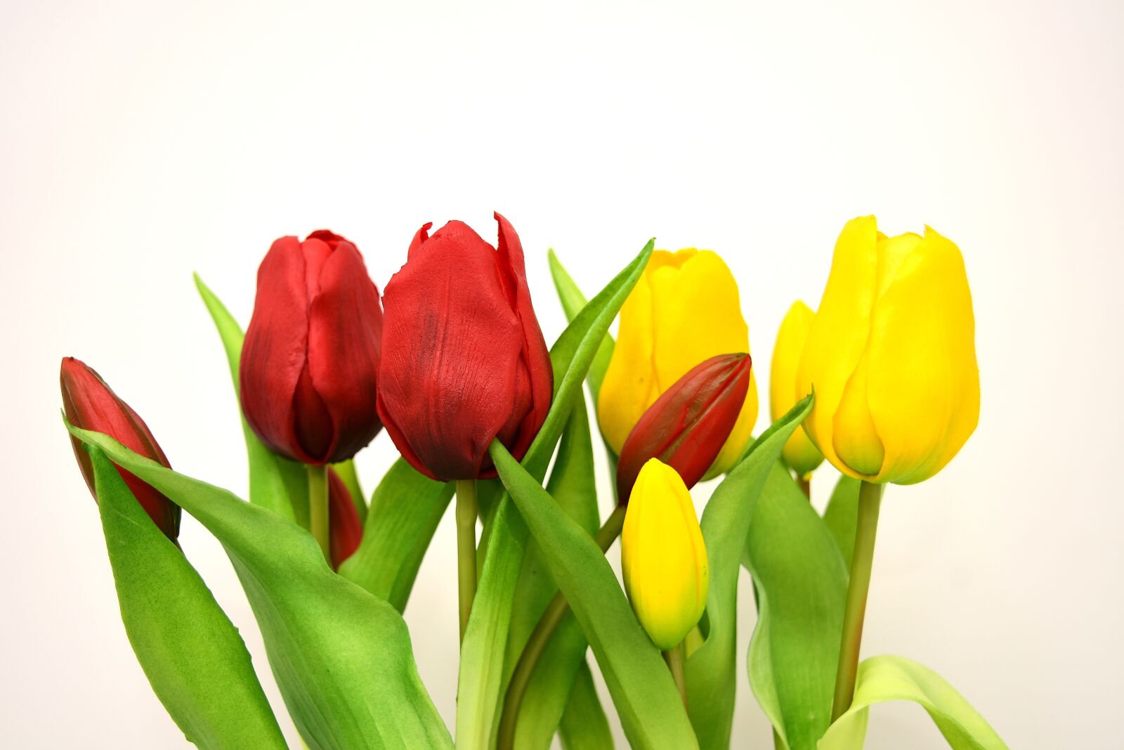 Nikon D7200 sample photo. Tulips, flowers, artificial photography