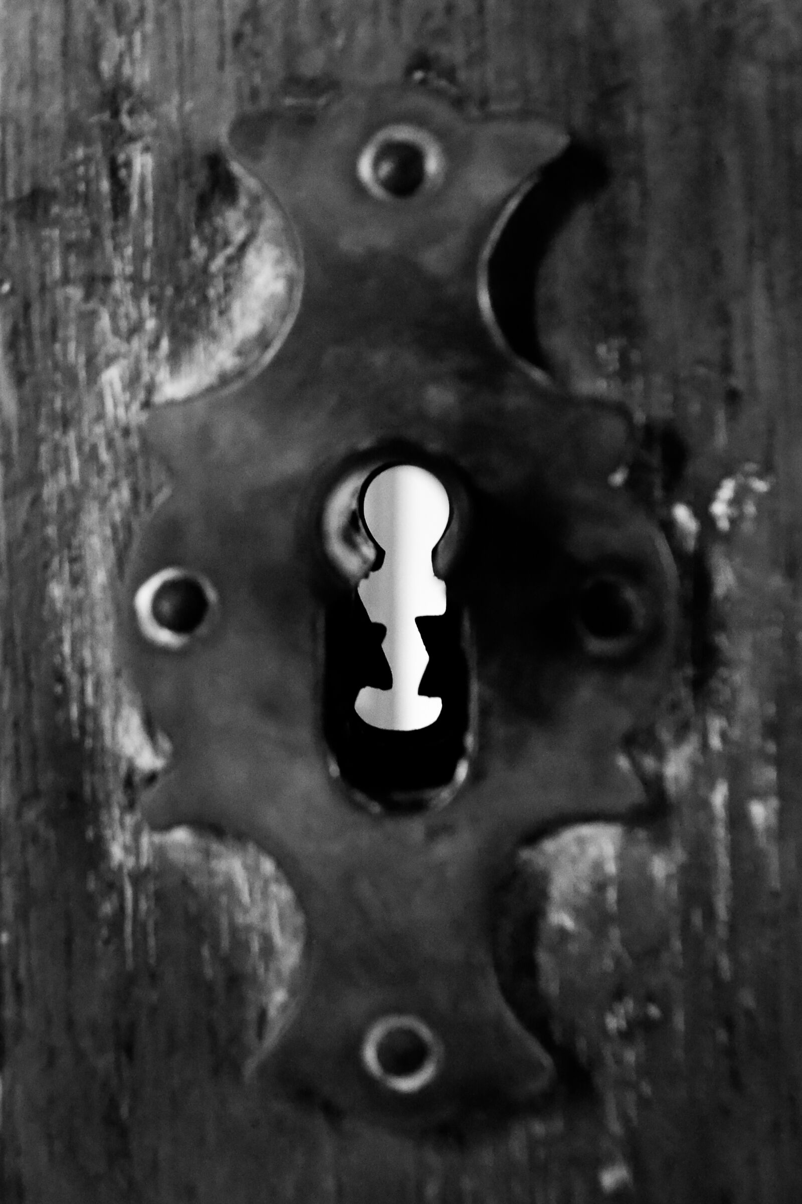 Nikon D3100 sample photo. Old, door, texture photography