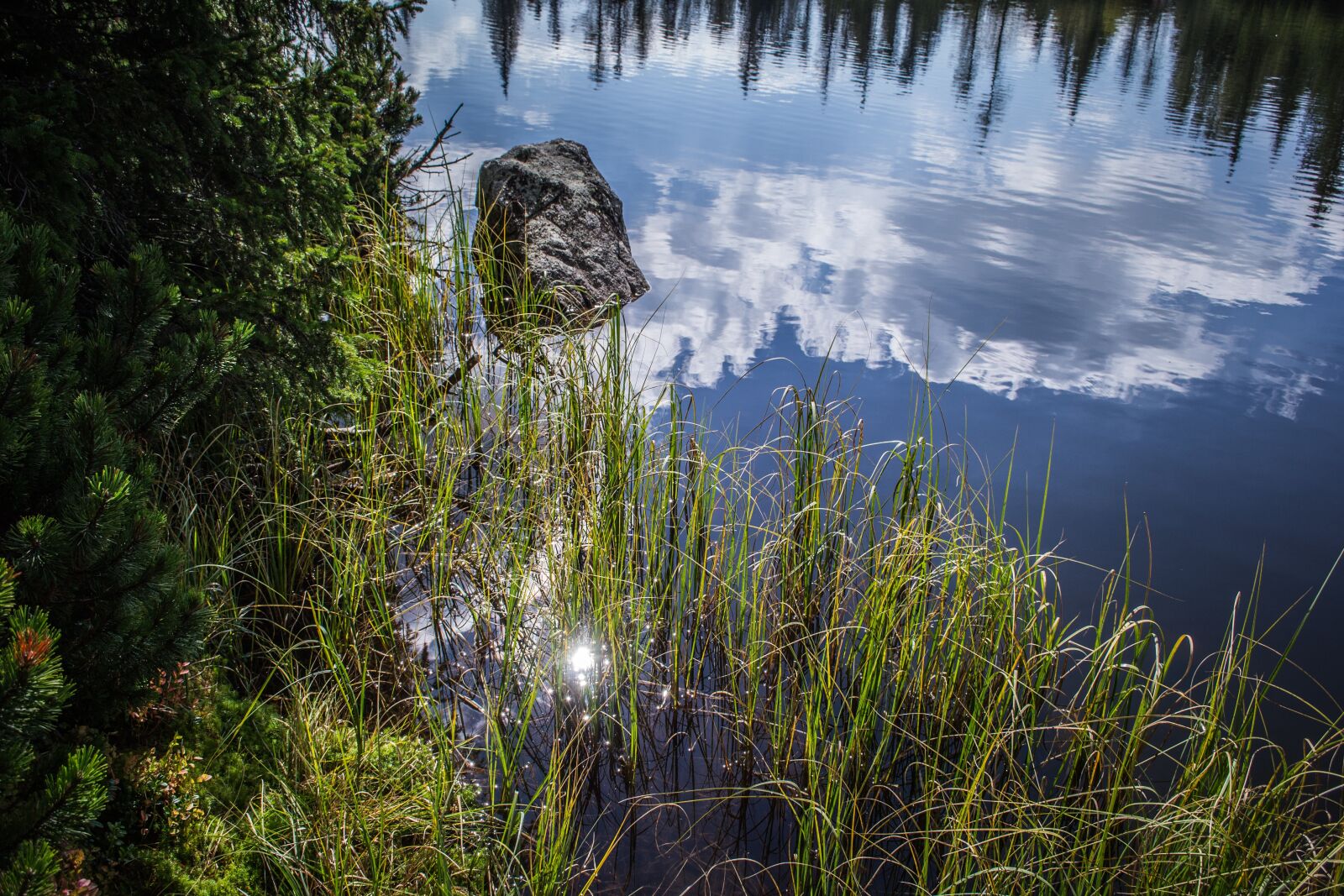 Nikon D3100 sample photo. Reflection, clouds, nature photography