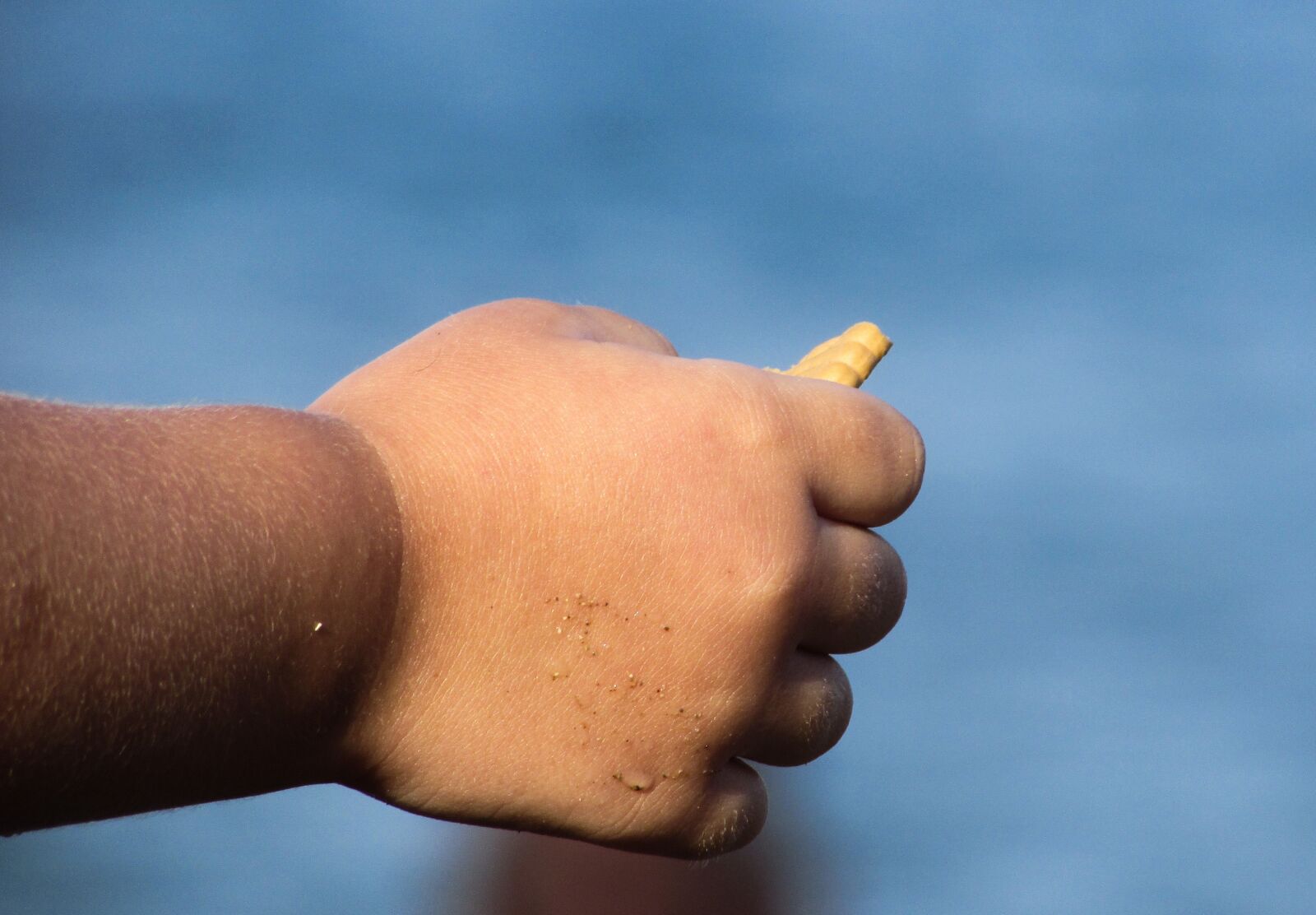 Canon PowerShot SX400 IS sample photo. Hand, child, small photography