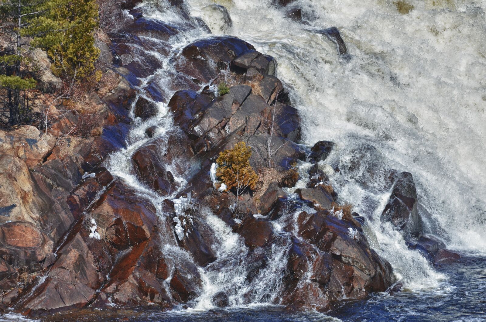 Nikon D7000 sample photo. Tree, waterfall, survive photography